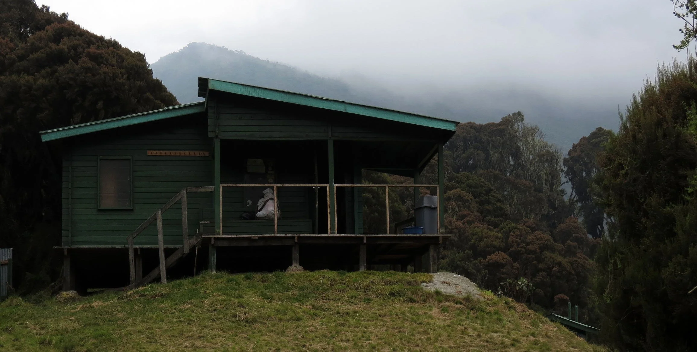 RWENZORI NATIONAL PARK UGANDA (181).JPG