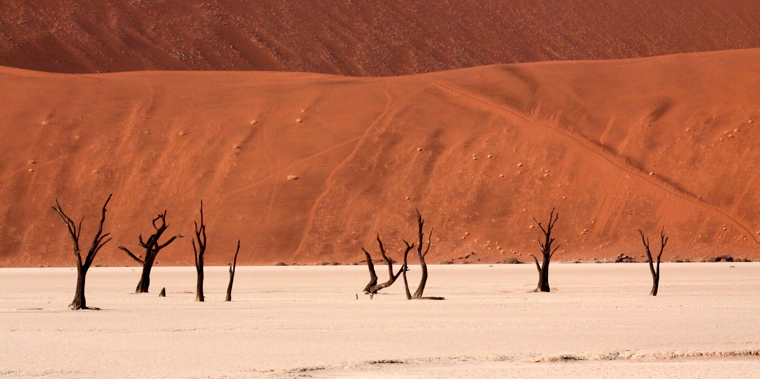 SOSSUSVLEI, NAMIB NAUKLUFT NATIONAL PARK, NAMIBIA - DEAD VLEI (40).JPG