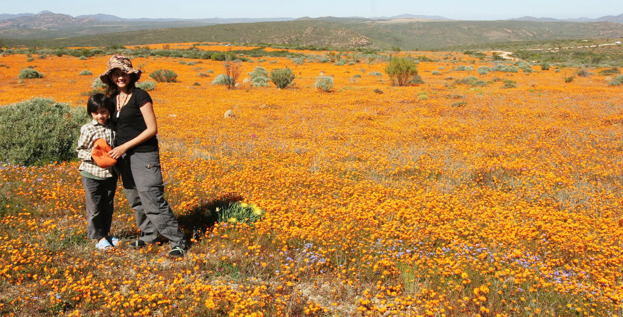 NAMAQUALAND SOUTH AFRICA - WILDFLOWER VIEWING (3).JPG
