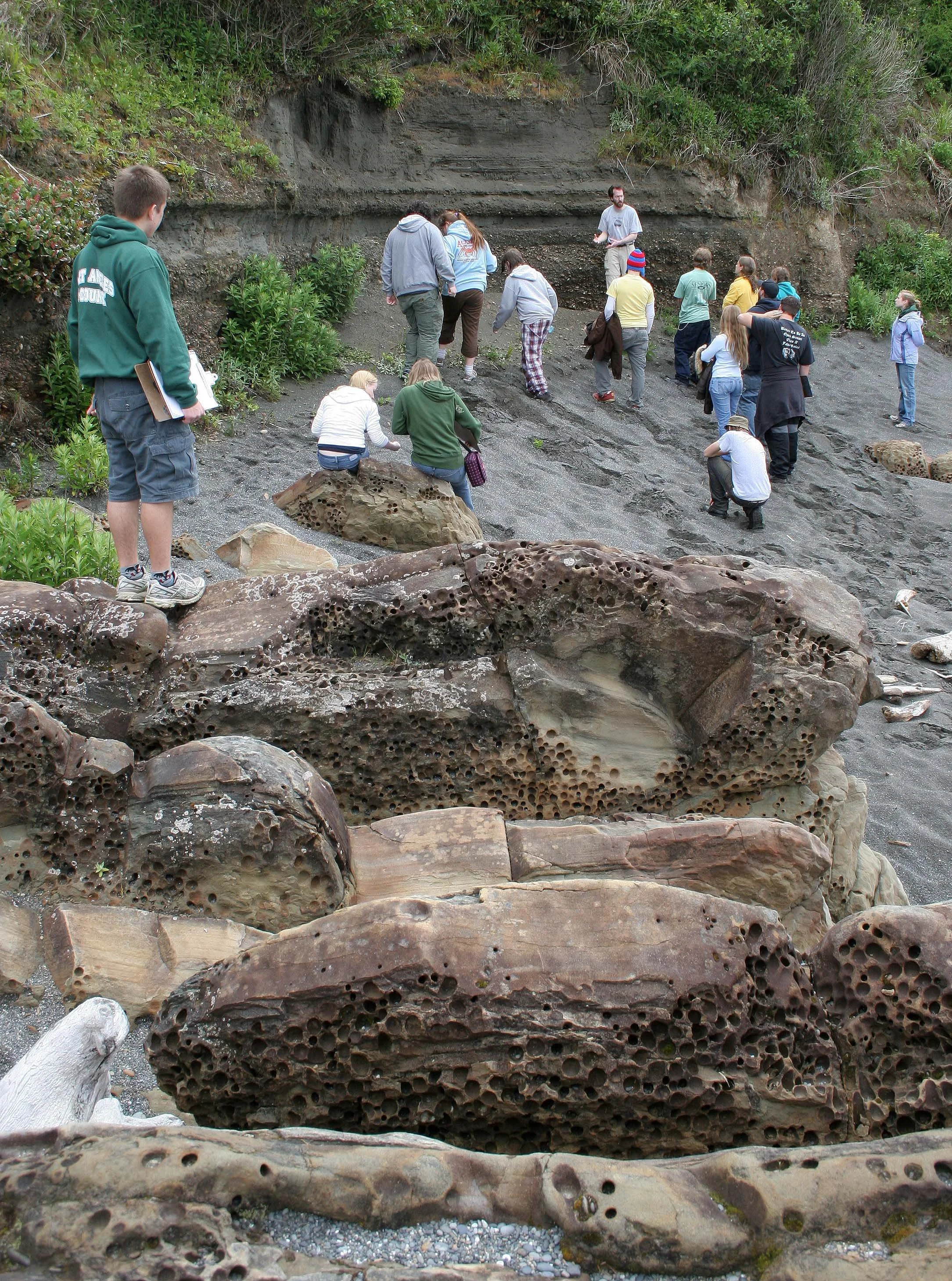 BEACH FOUR  - SANDSTONE.jpg