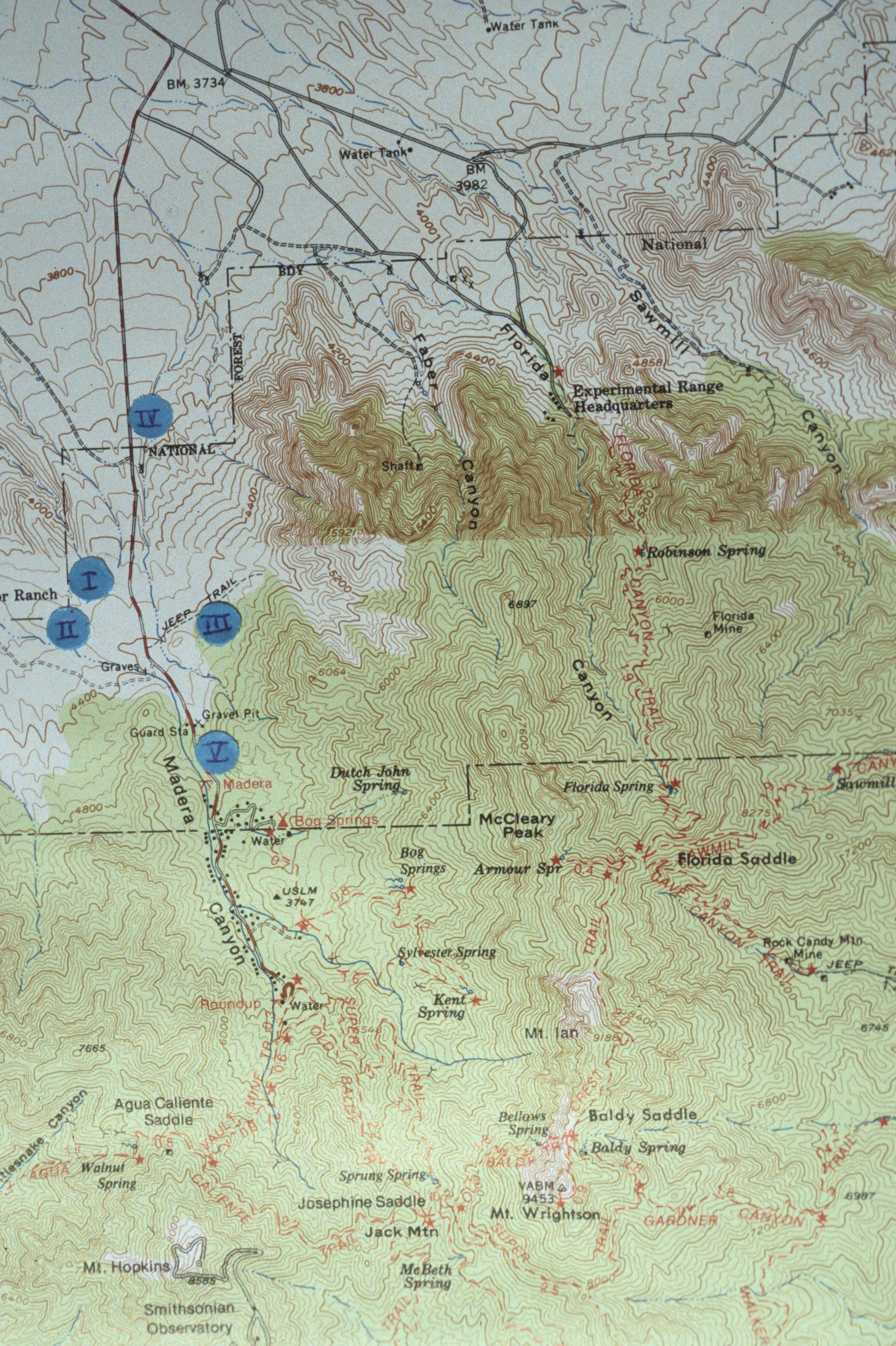 ARIZONA - MADERA CANYON - RESEARCH PLOT MAP A.jpg