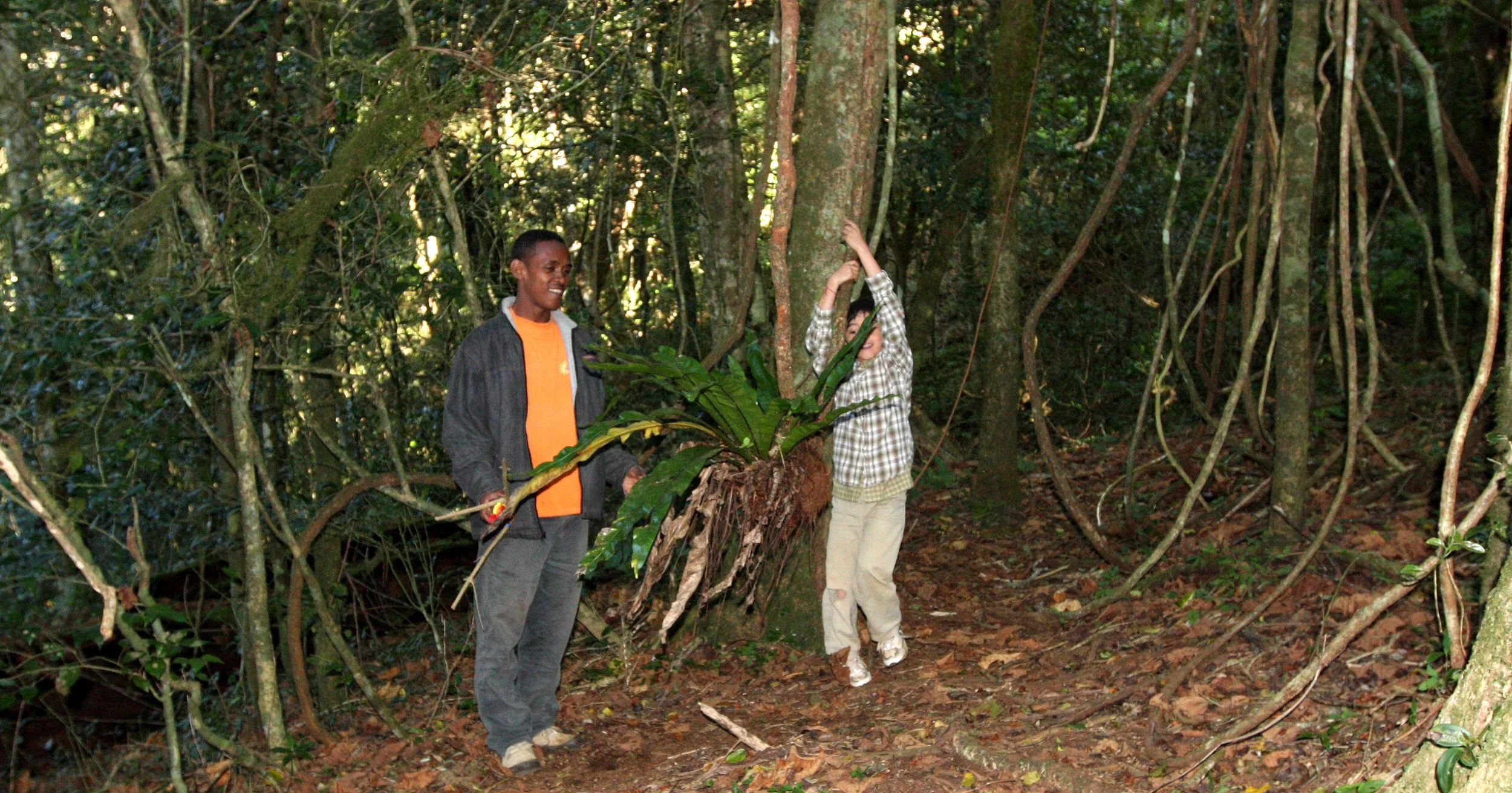 MONTAGNE D'AMBRE NATIONAL PARK - SWINGING ON THE LIANA (6).JPG