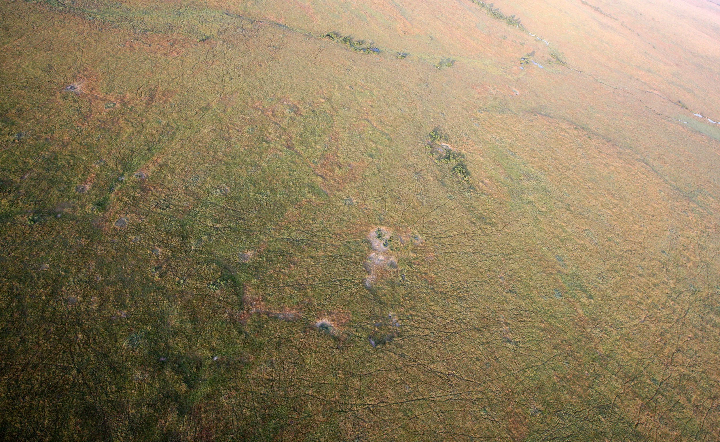 MASAI MARA NATIONAL PARK KENYA (116).JPG