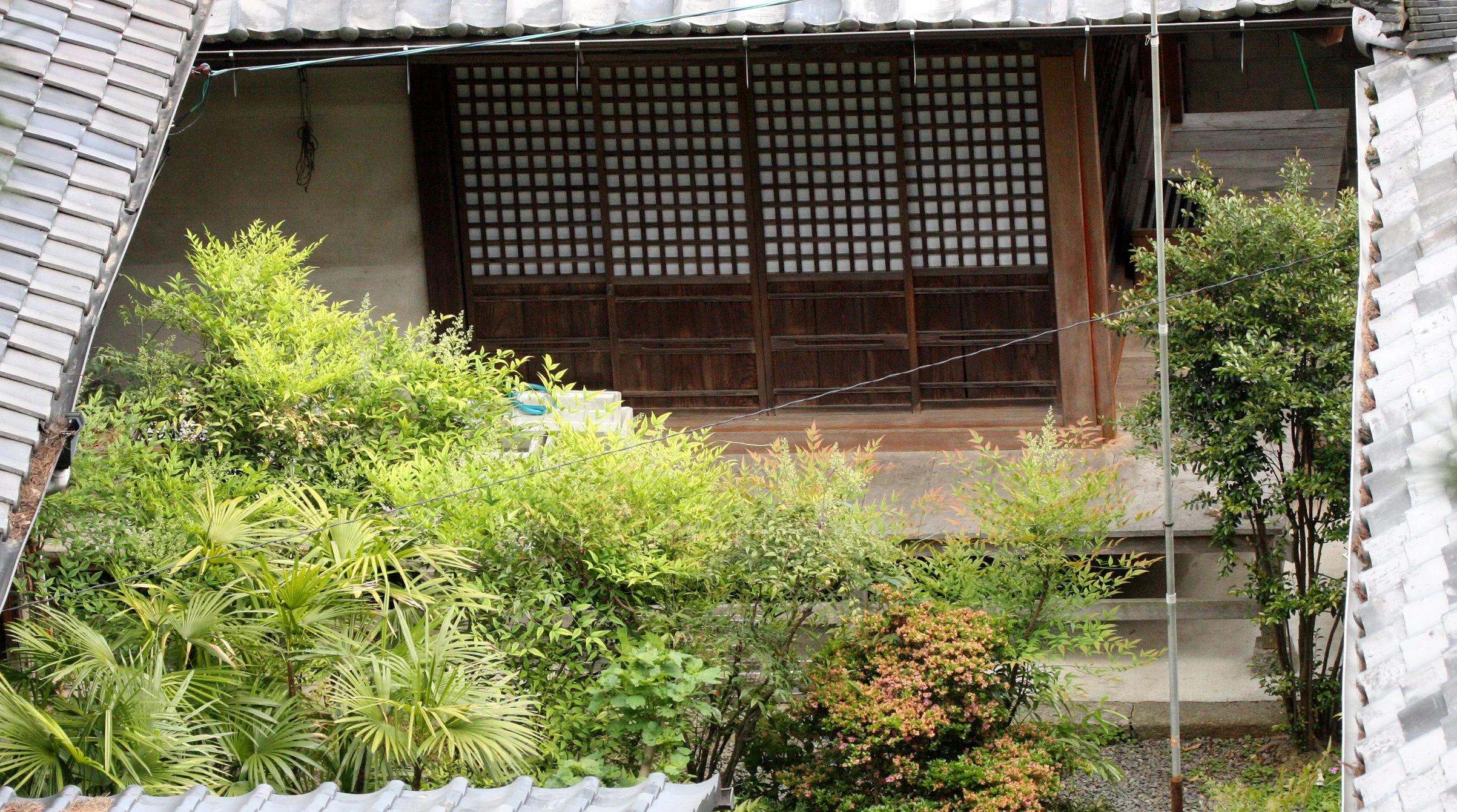 MIYAJIMA - MAY 2009 - SCENES AND LANDSCAPES (14).JPG