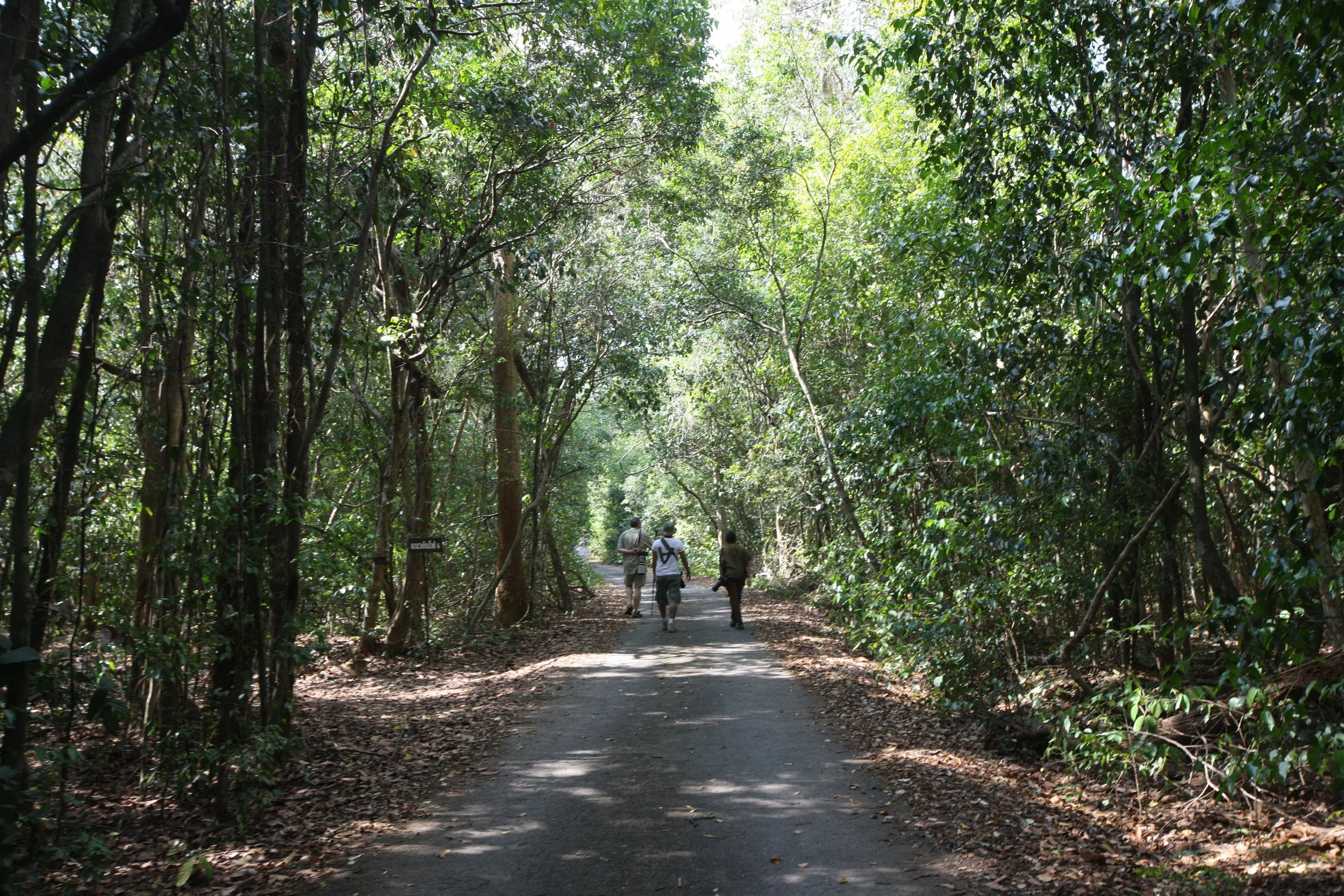 2015 Khao Pang Ma Nonhunting Area (22).JPG