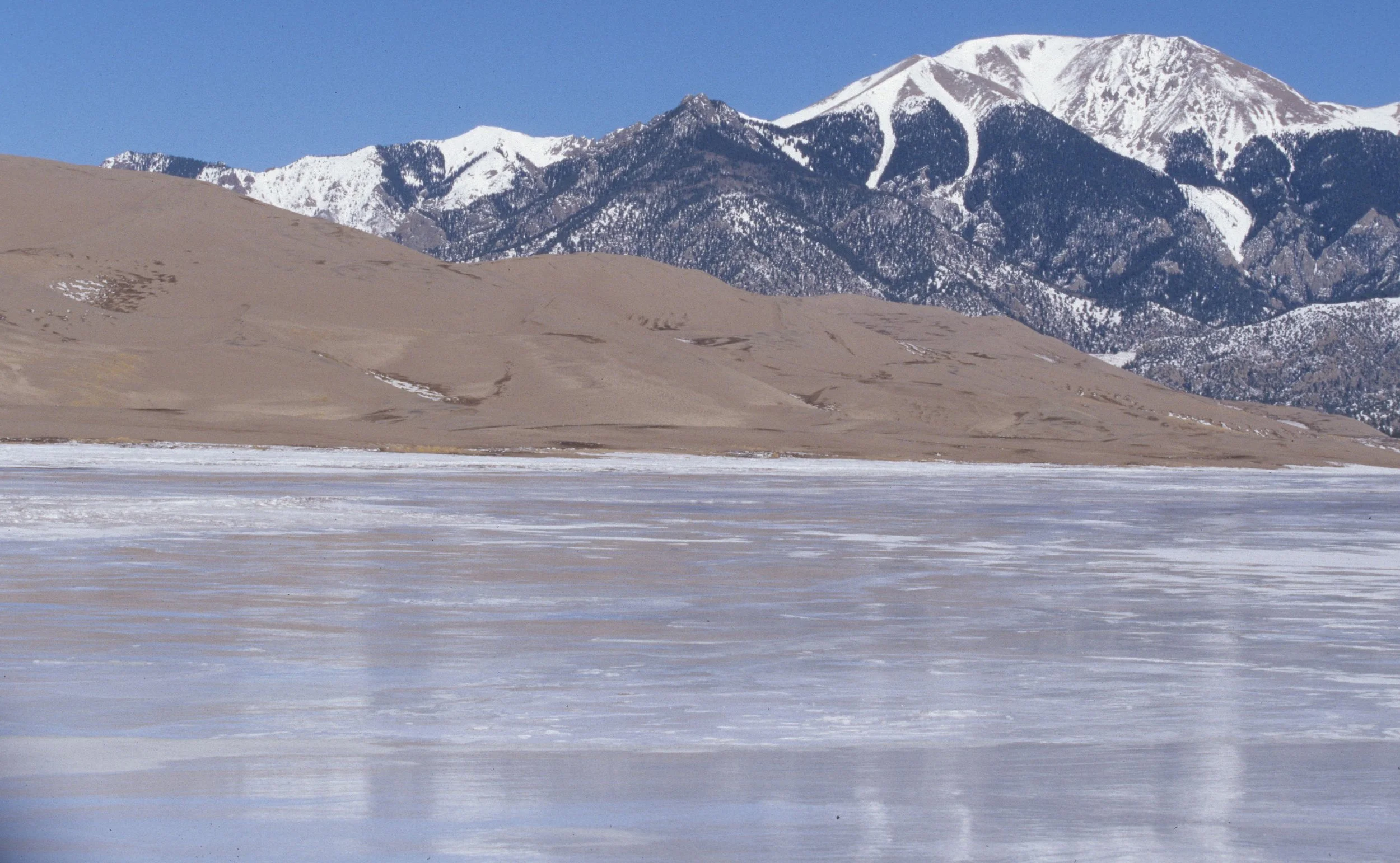 COLORADO DUNES NM D.jpg