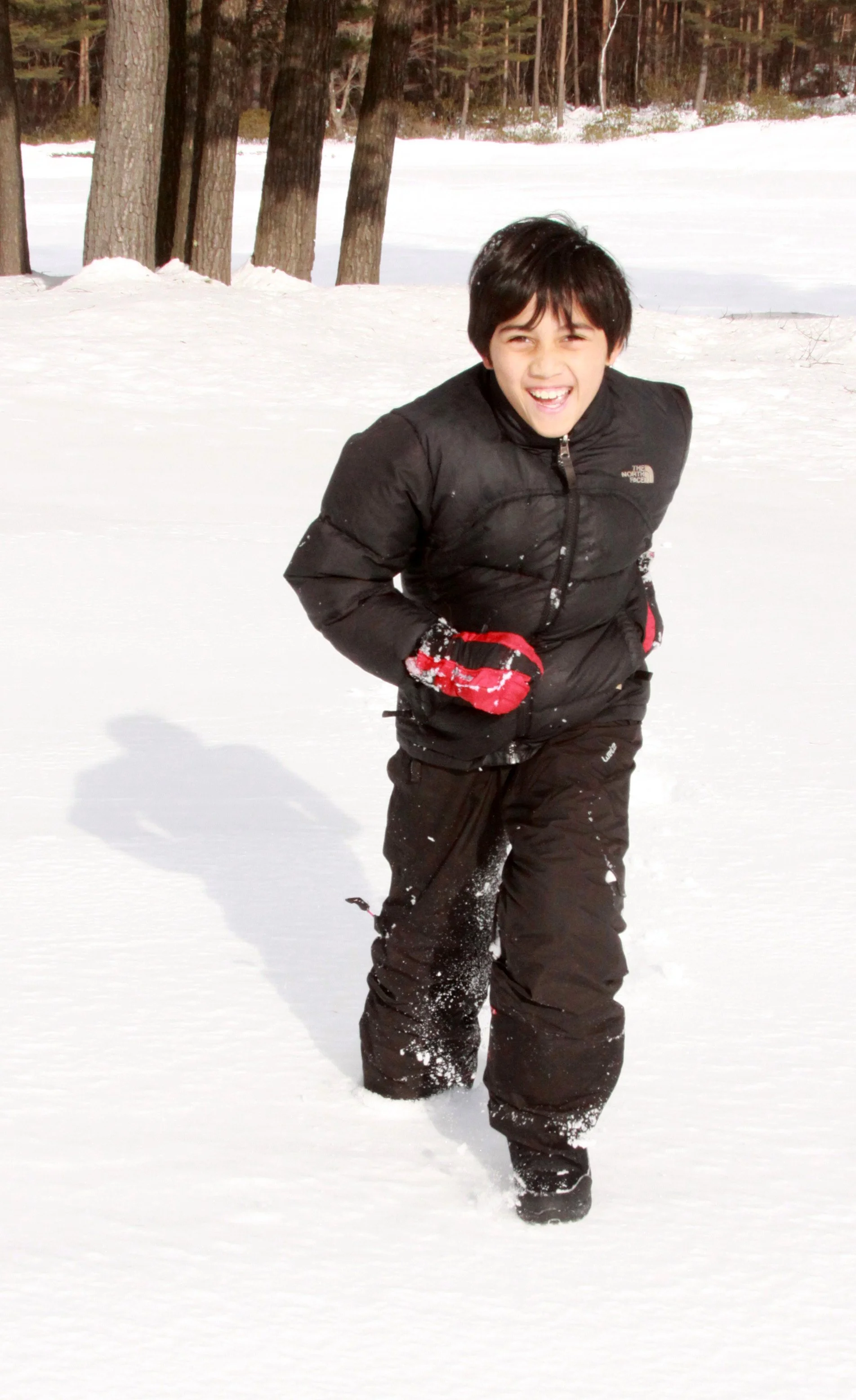 MOUNT ASAMA - JOSHIN'ETSUKOGEN NATIONAL PARK JAPAN (52).JPG
