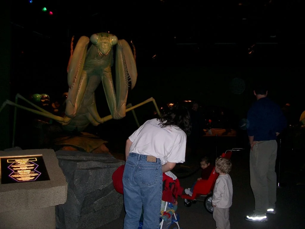 2003-11-28 DAY TRIP TO VICTORIA BC (8).JPG