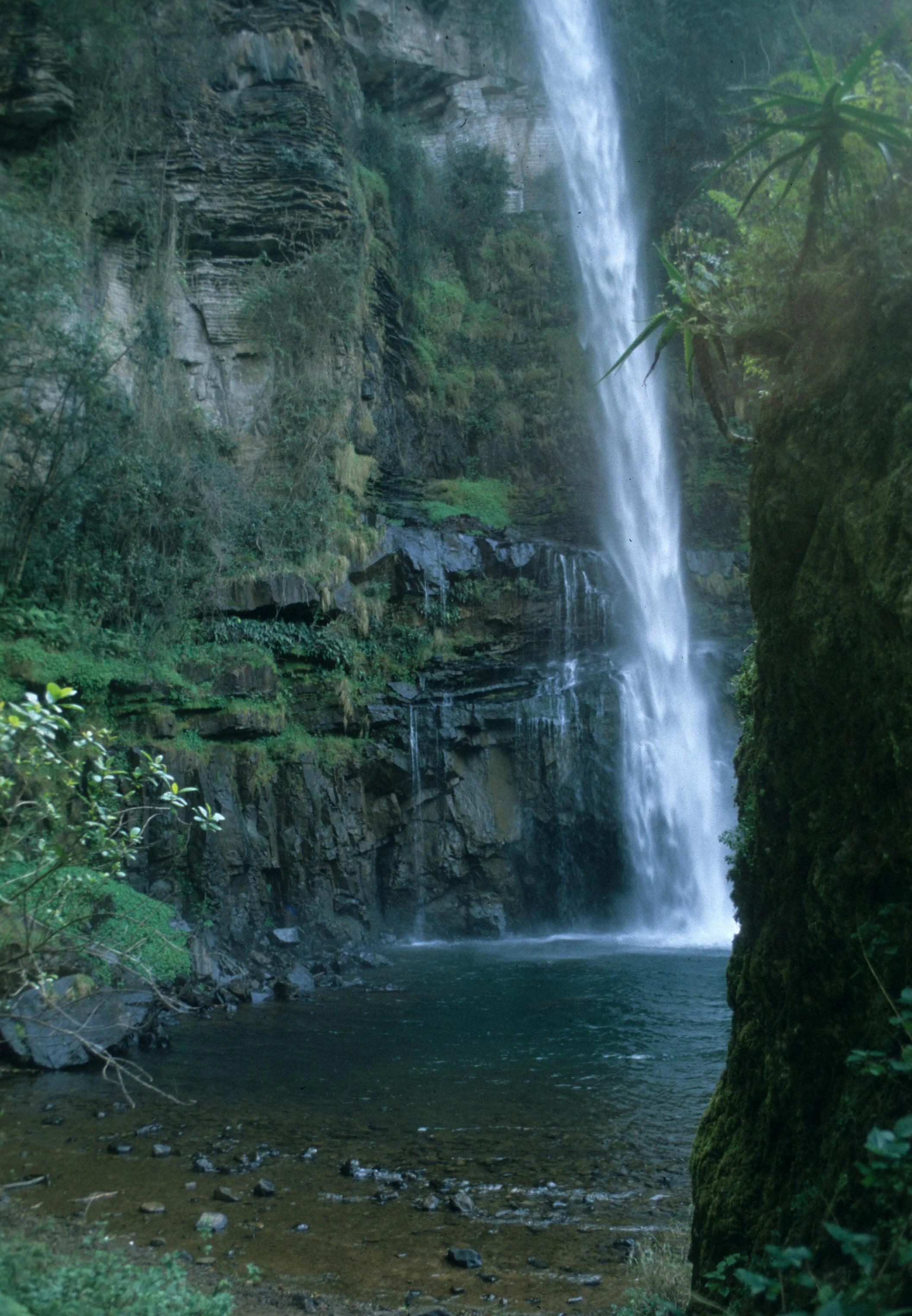 KRUGER - MAC MAC FALLS F.jpg