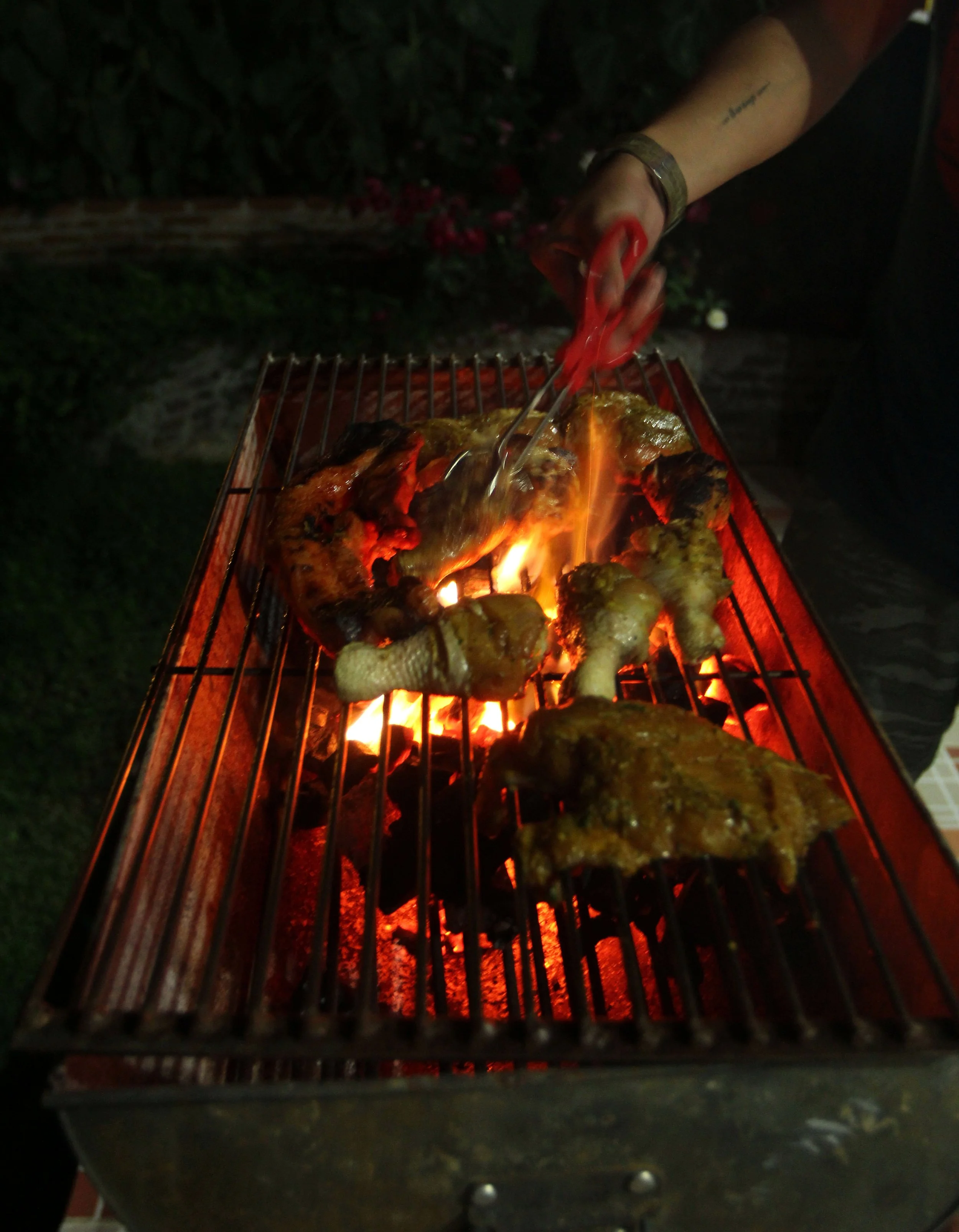 2015 Khao Pang Ma Nonhunting Area (142).JPG