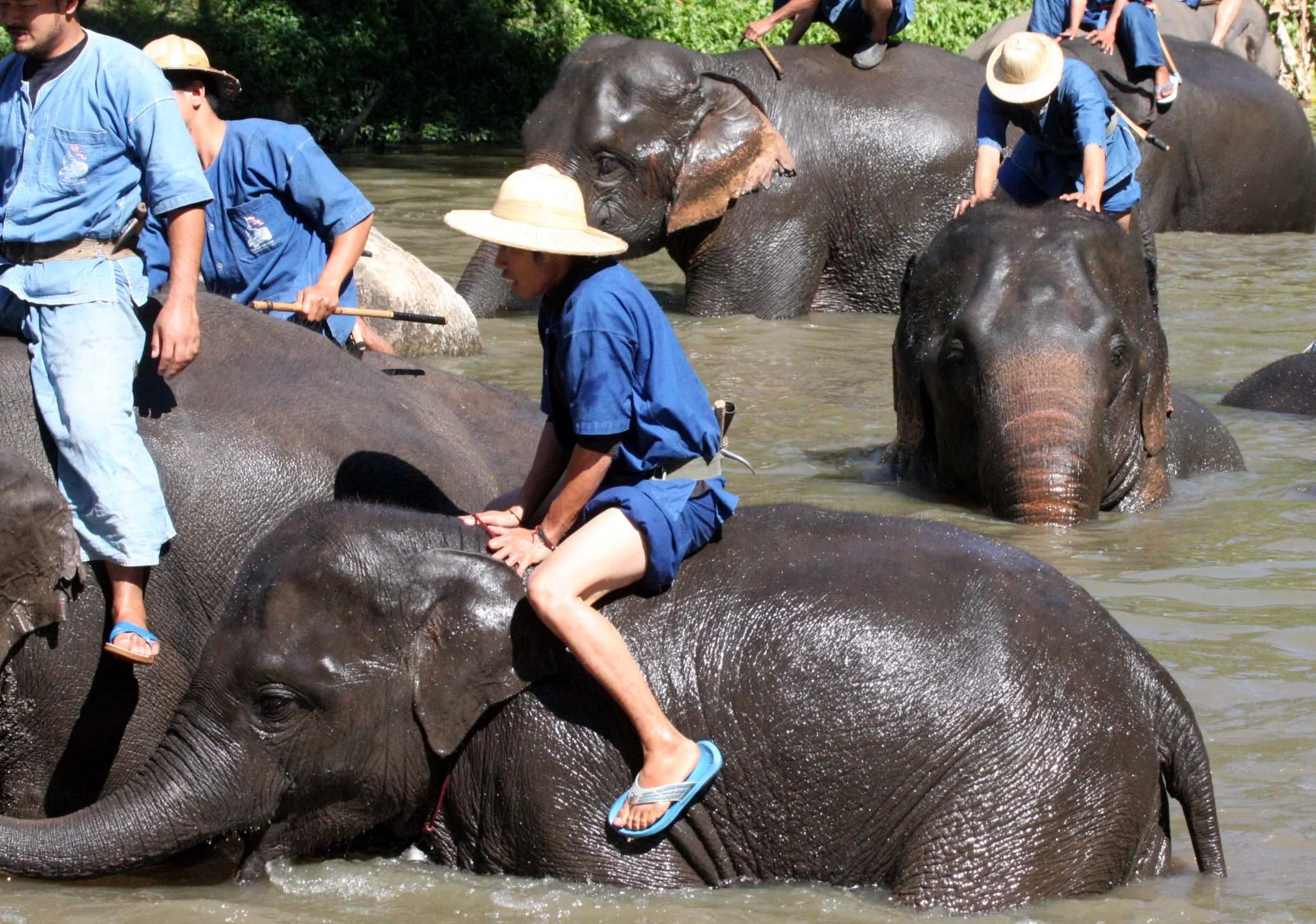 2008 Lampang City & Elephant Center (110).JPG