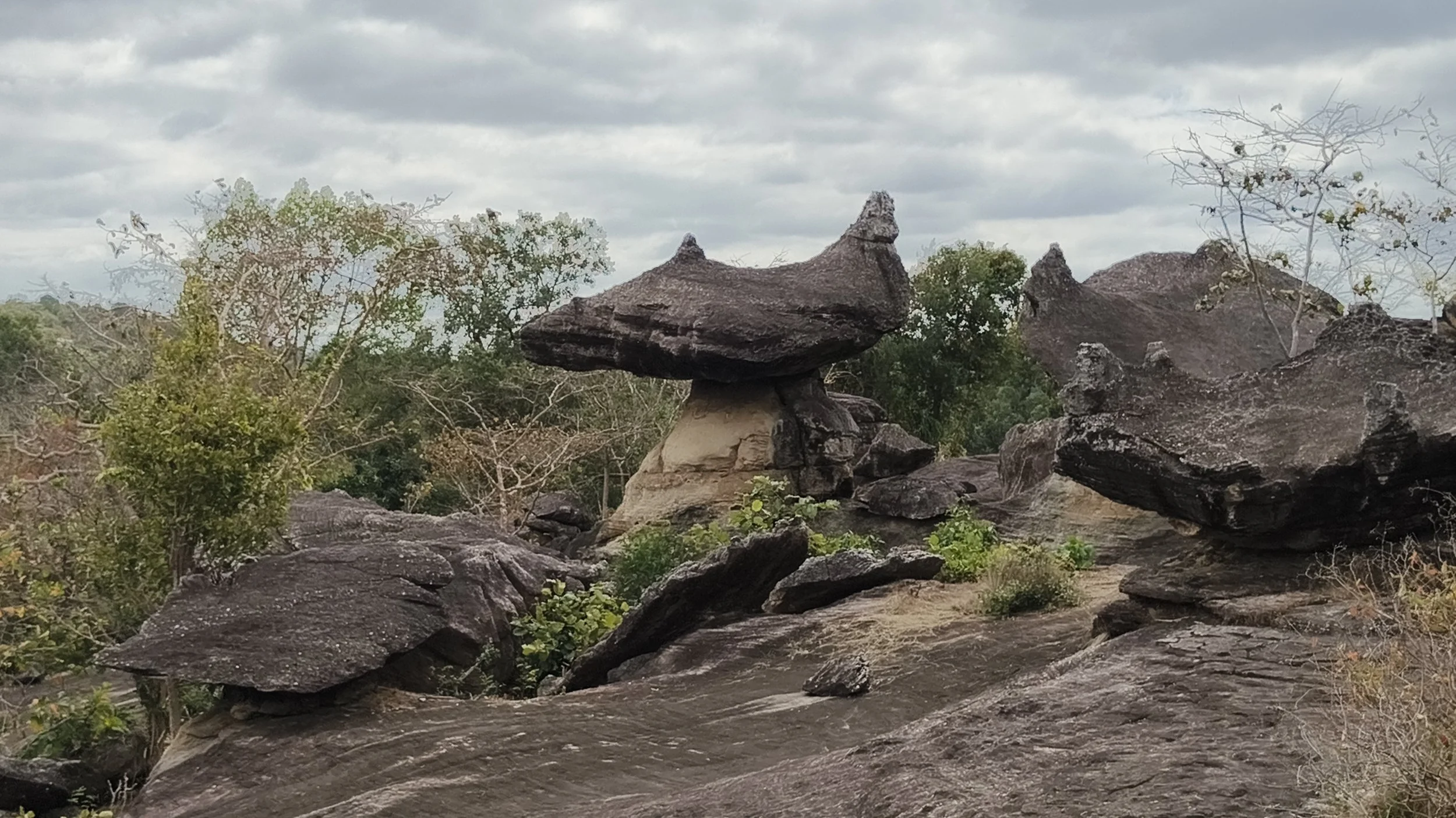  Phu Pha Thoep National Park - Mukdahan Thailand (38).jpg