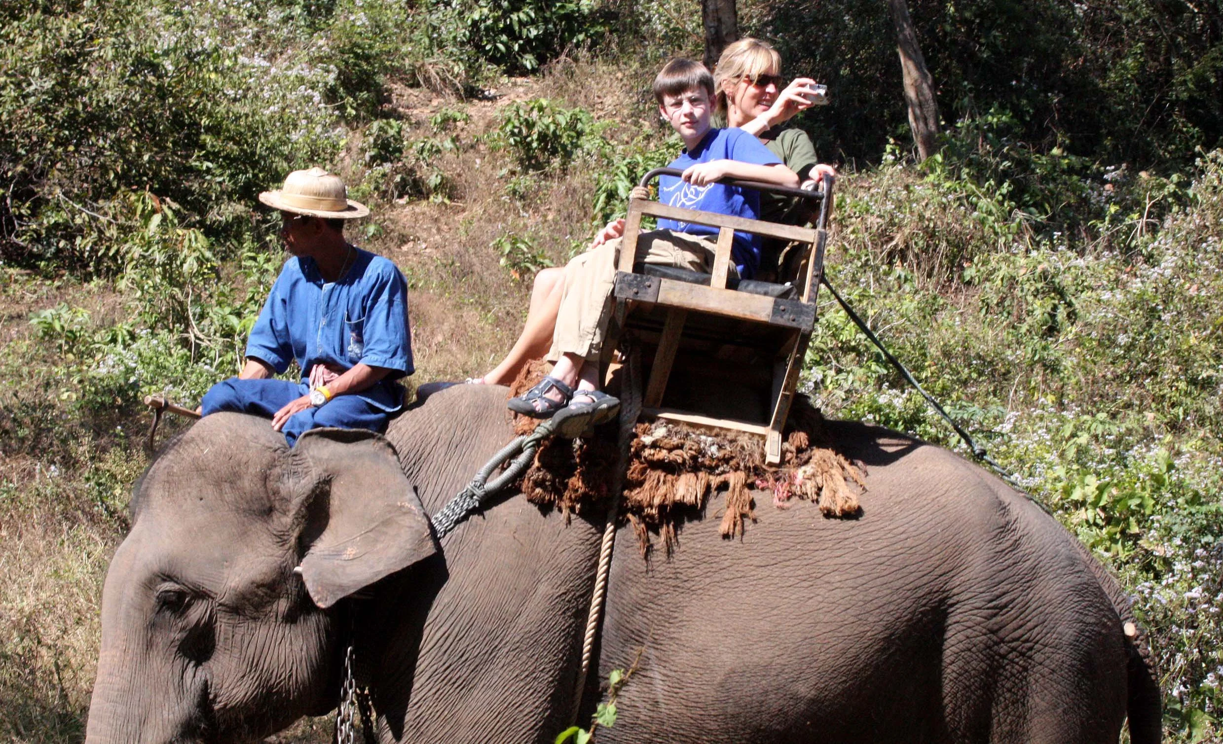 2008 Lampang City & Elephant Center (68).JPG