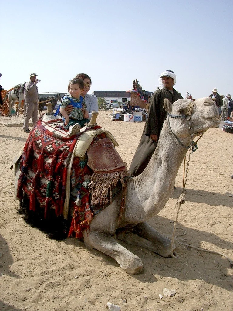 PYRAMIDS - CAMEL RIDES ON GIZA PLATEAU (18).JPG