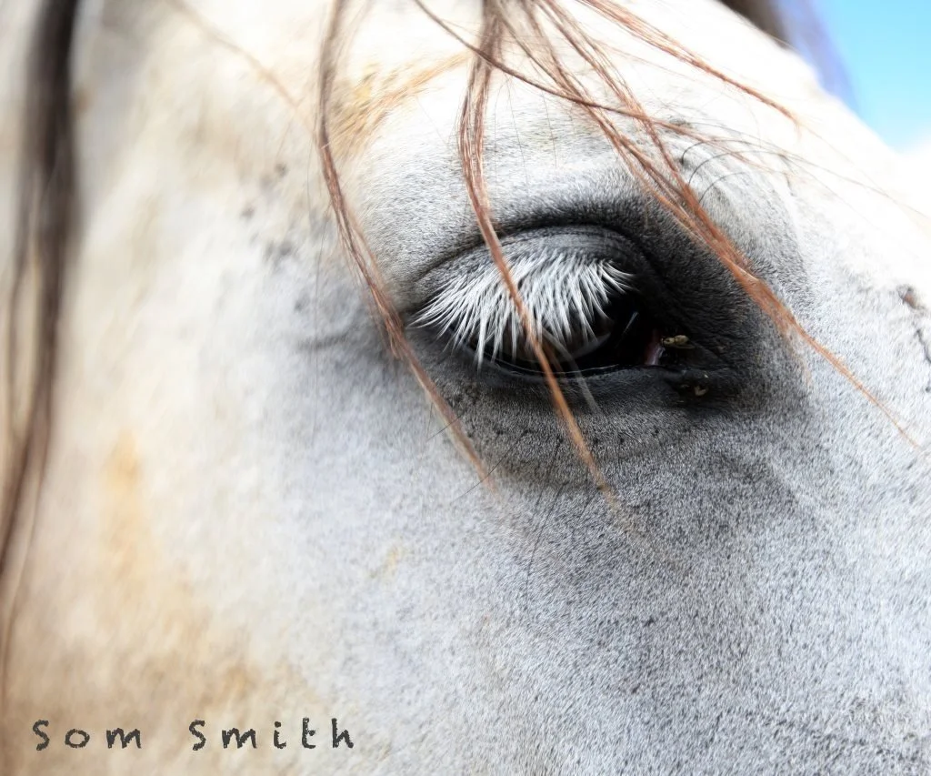 2013 Bangkok Early Days (96).JPG