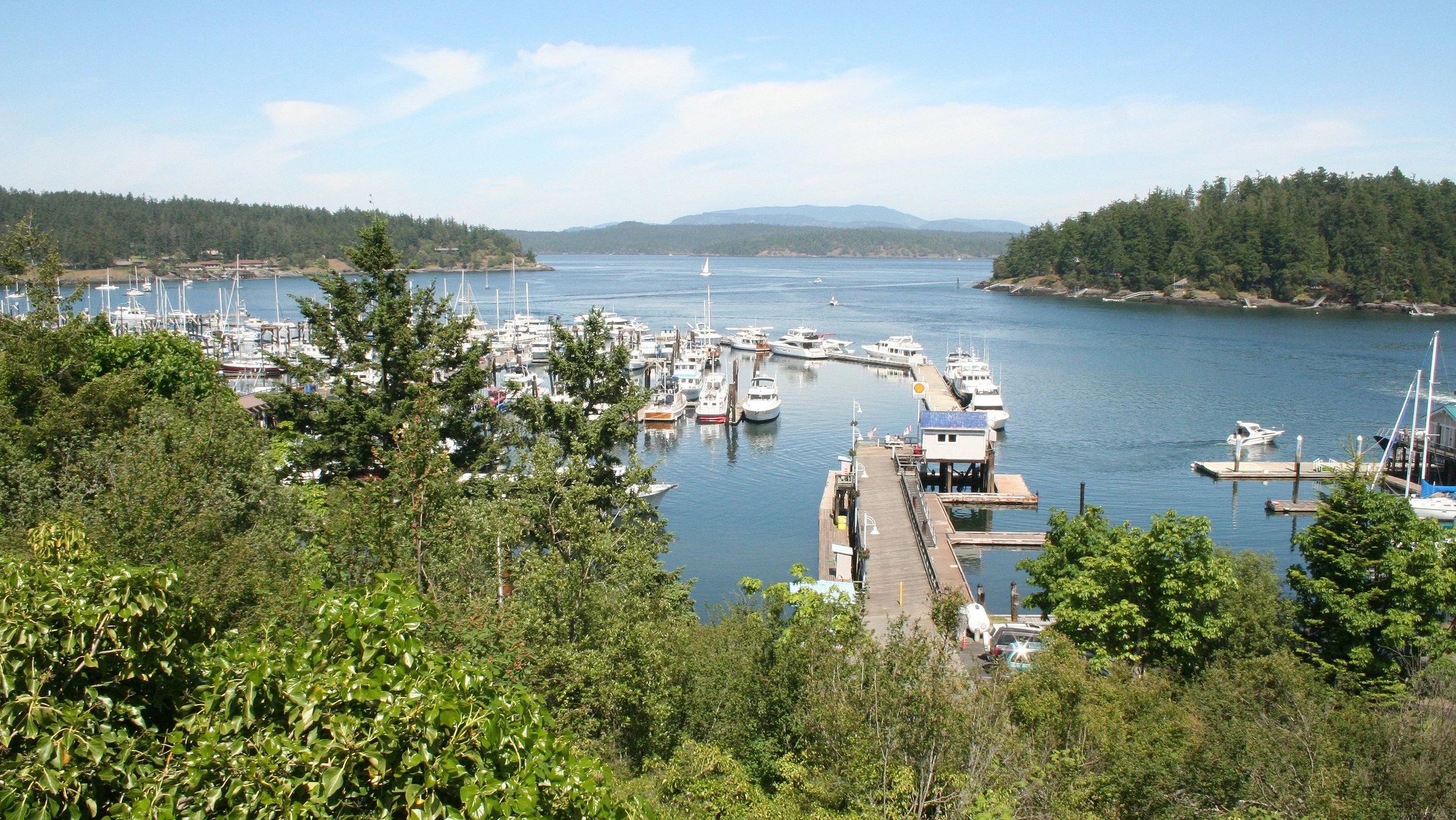 2008-5-26 SAN JUANS FRIDAY HARBOR (3).JPG