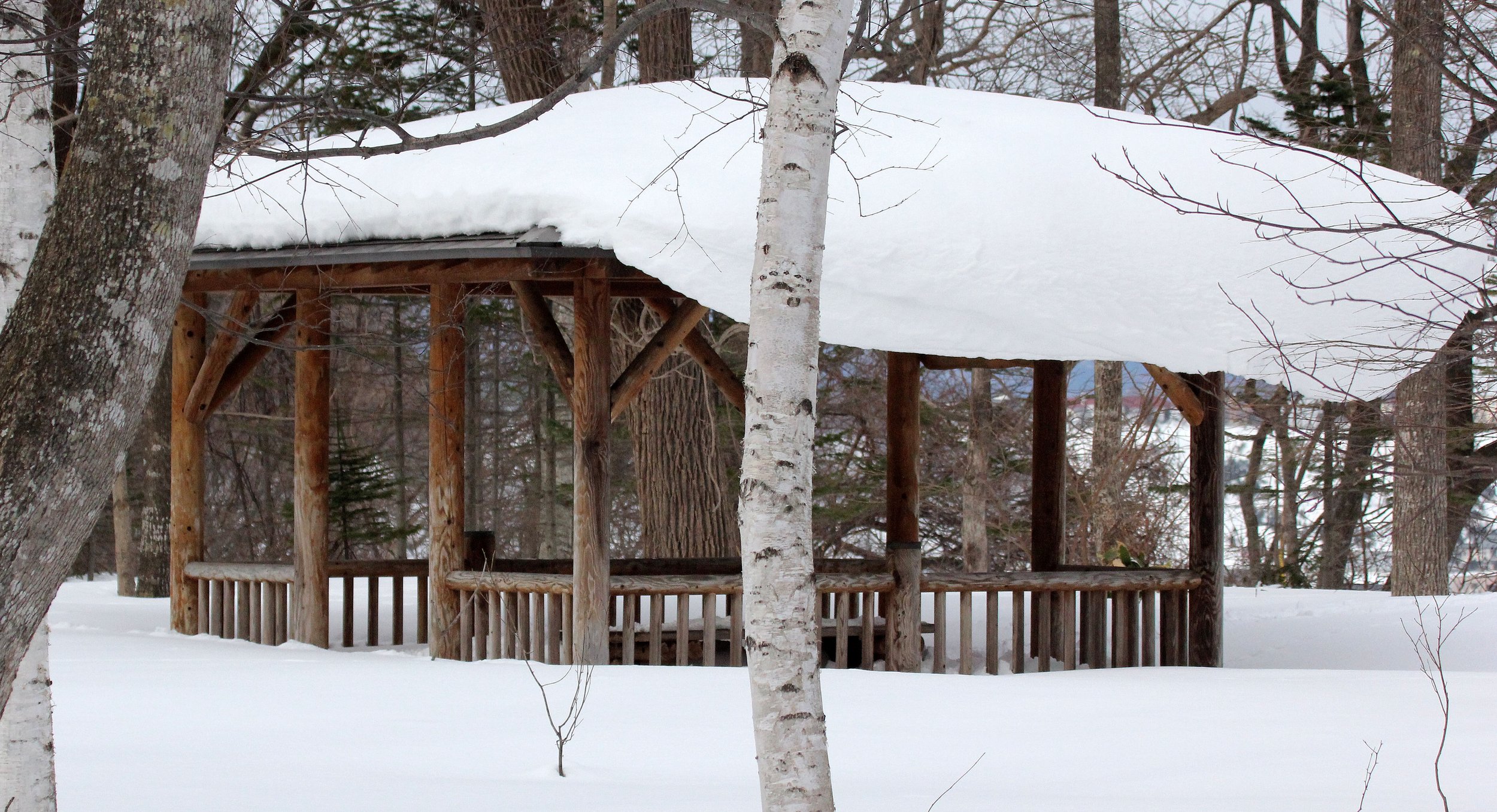 KINOHIROBA PARK - ABASHIRI - HOKKAIDO JAPAN (29).JPG