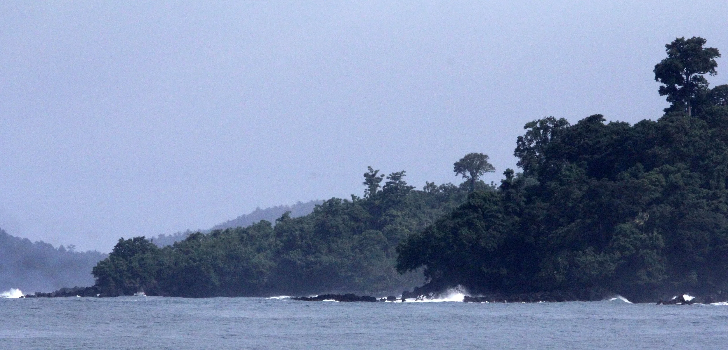 TANGKOKO NATIONAL PARK SULAWESI INDONESIA (68).JPG