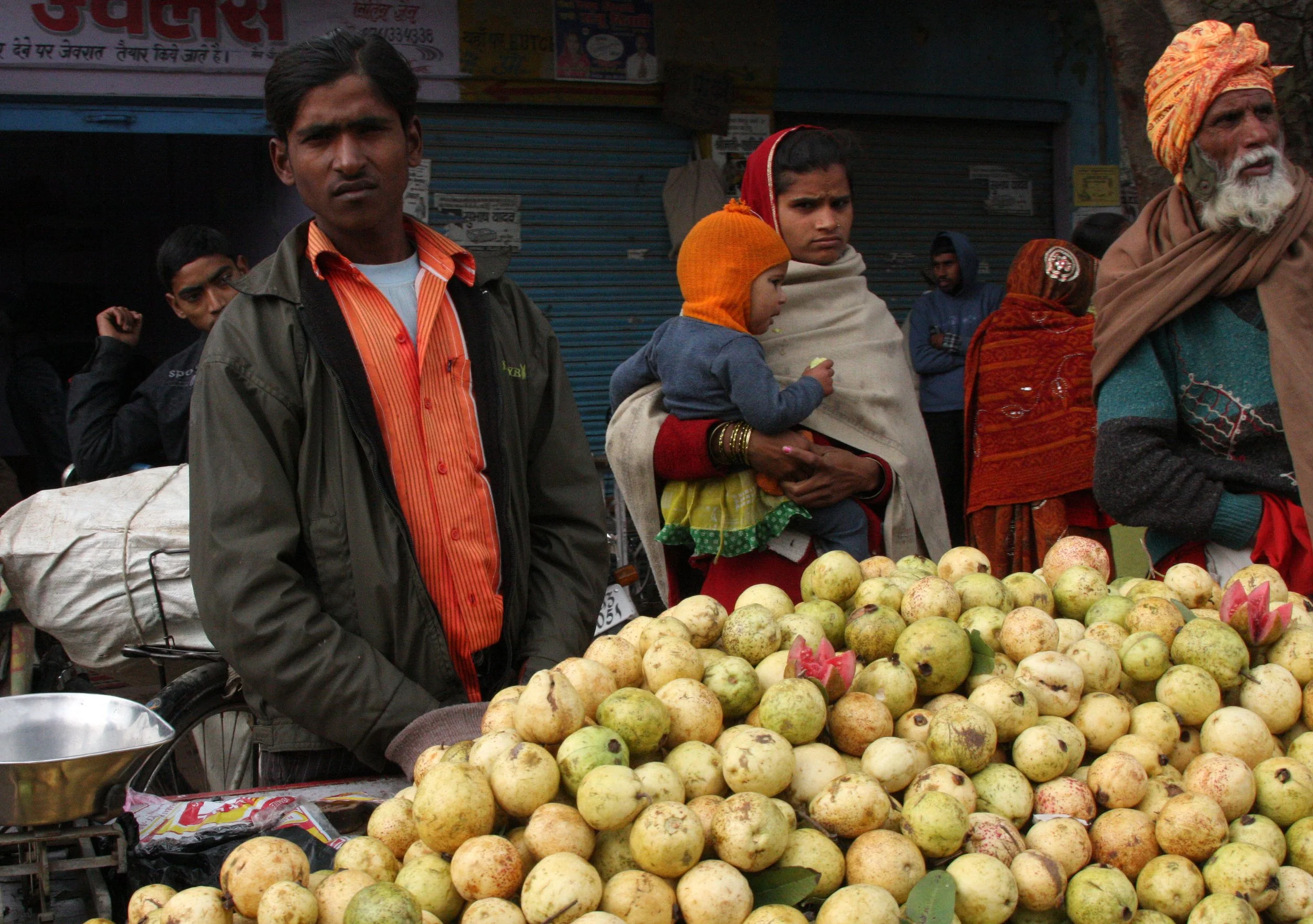 CHAMBAL RIVER SANCTUARY INDIA (31).JPG