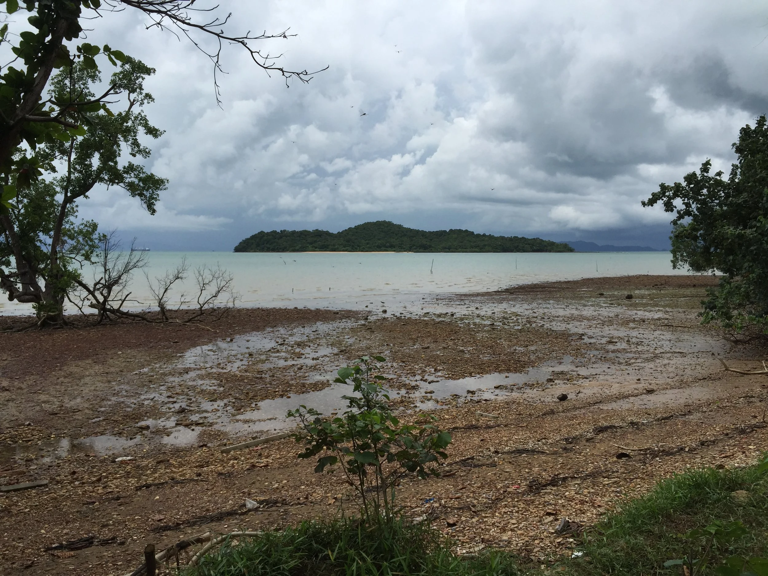 2015 Koh Lanta Garden & Nature (193).JPG