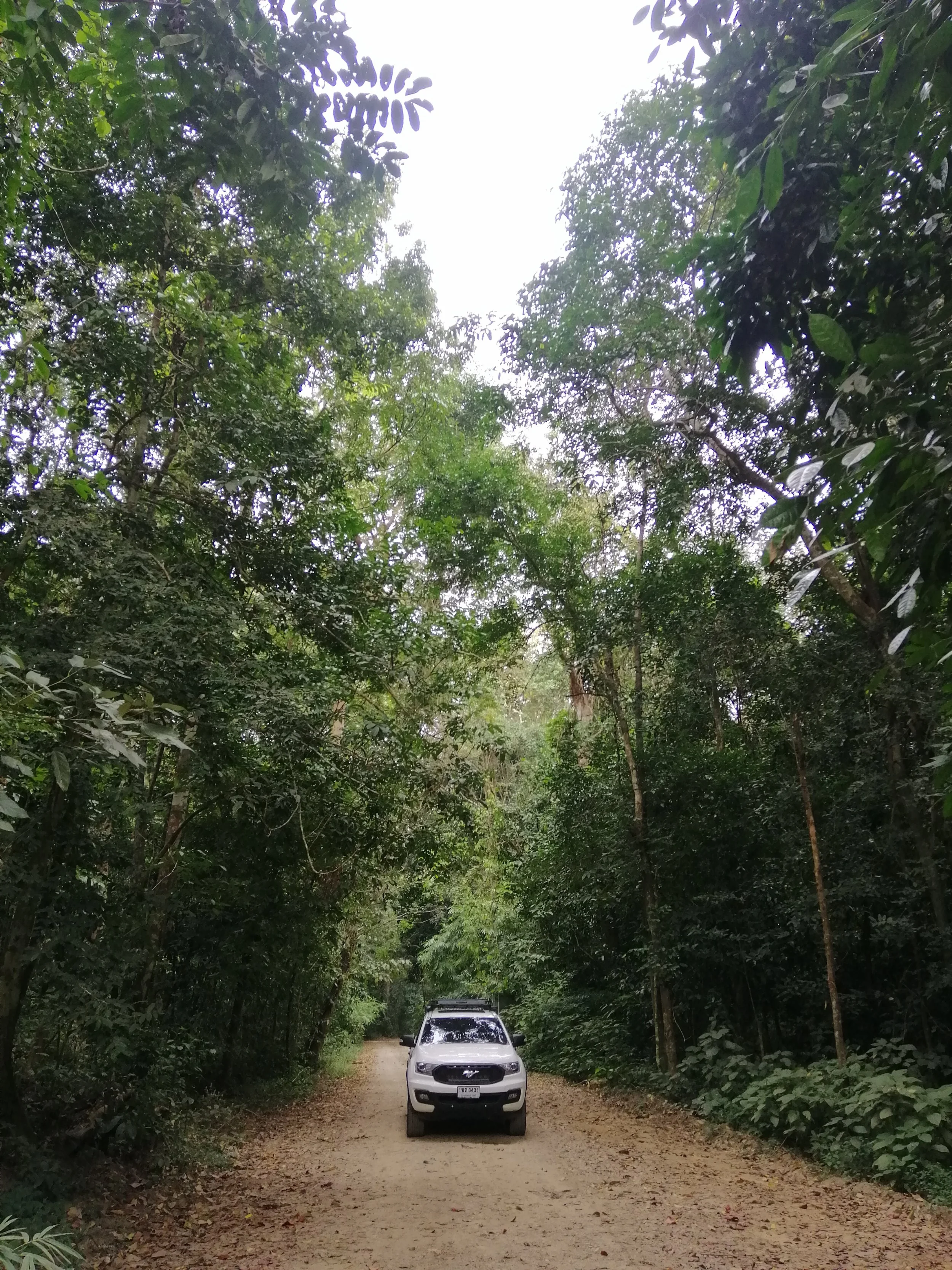My rig making its way through the second-growth forest of Kaeng Krachan between stream 2 and 3.