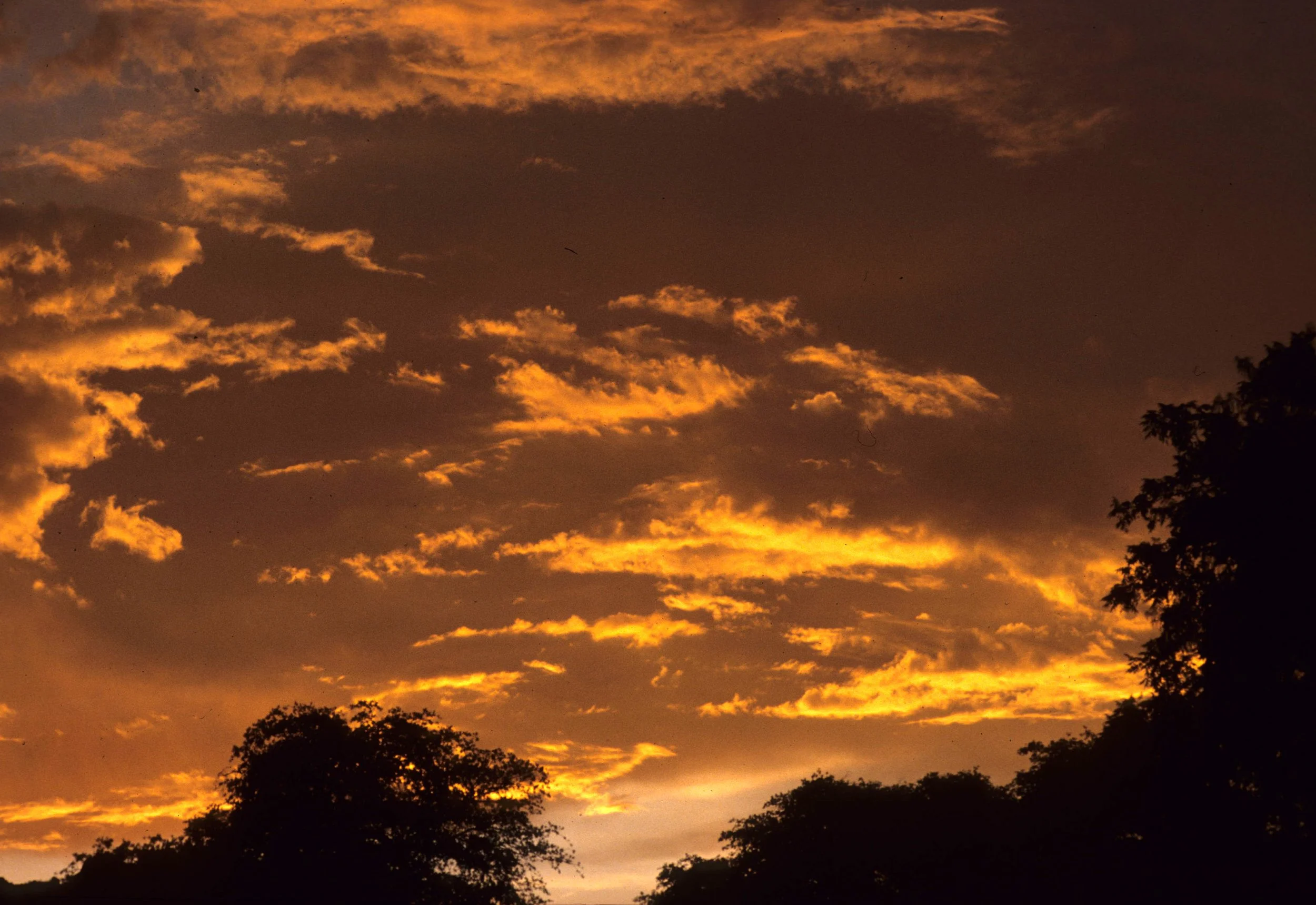 ARIZONA - NOGALES SUNSET.jpg