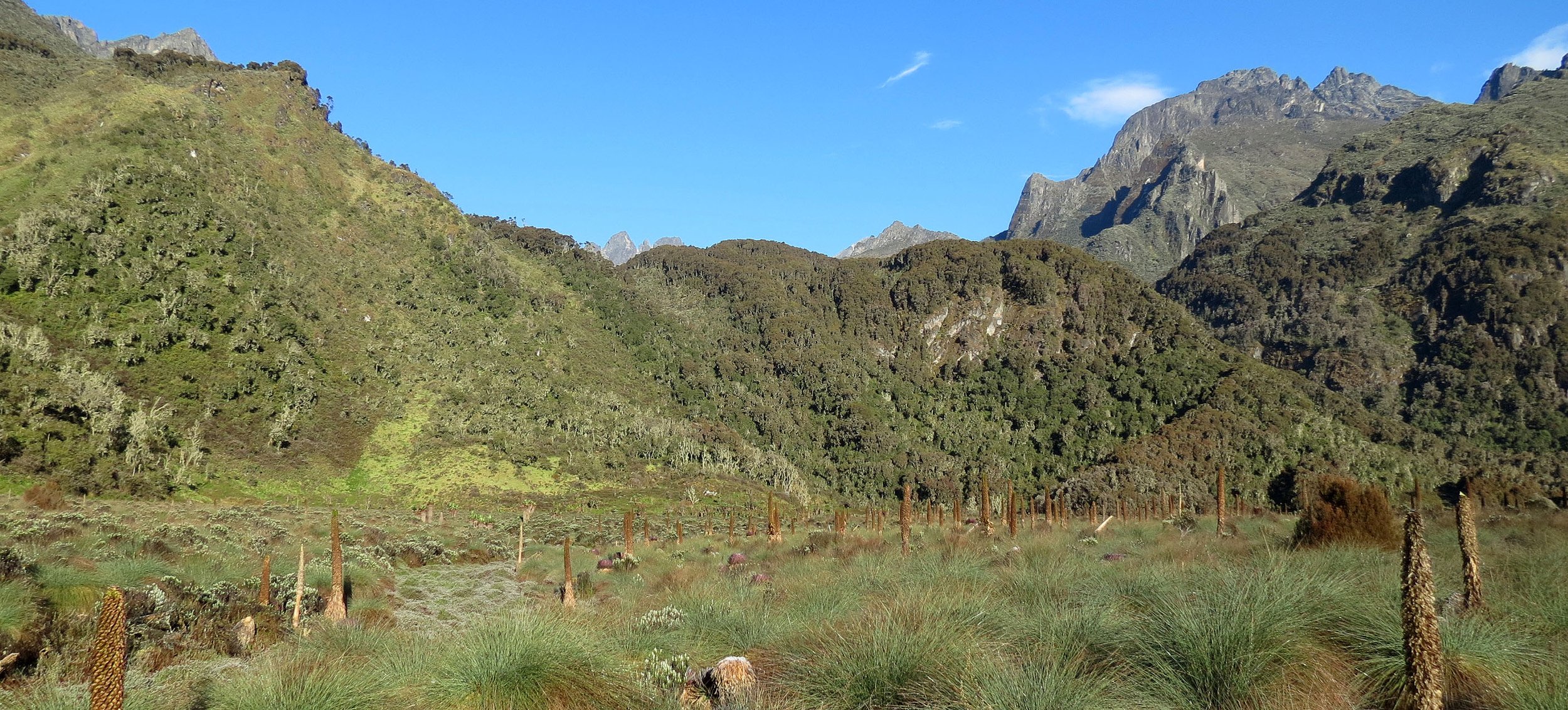 RWENZORI NATIONAL PARK UGANDA (258).JPG