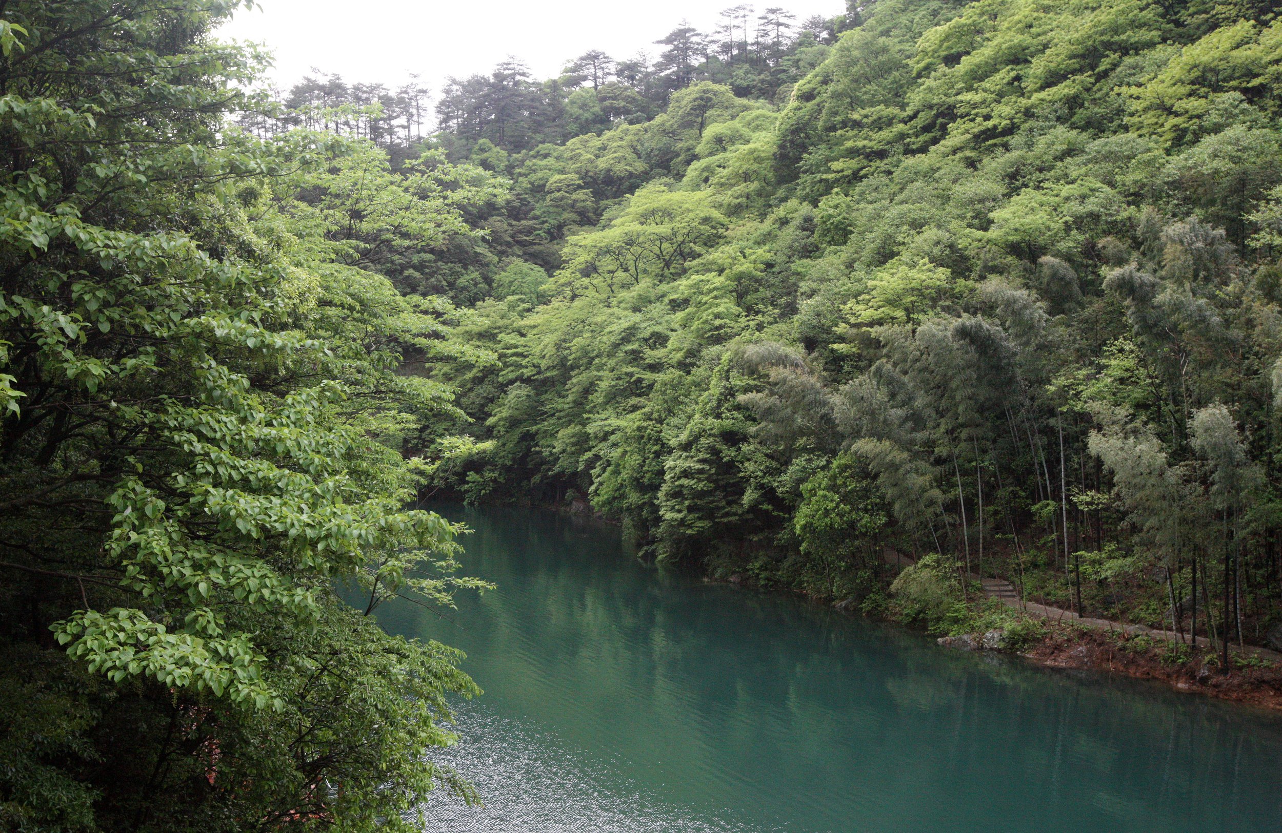GUNIUJIANG NATURE RESERVE - ANHUI PROVINCE CHINA (16).JPG