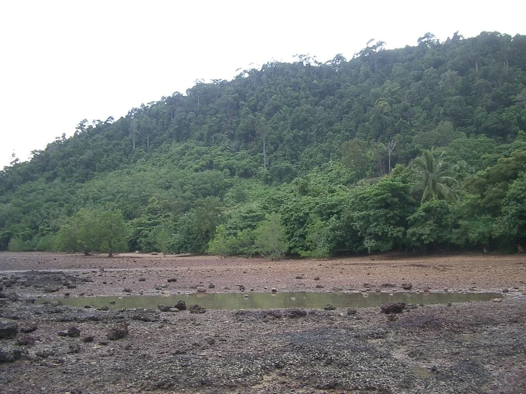 KOH LANTA - PROPERTY - 2004 (107).JPG