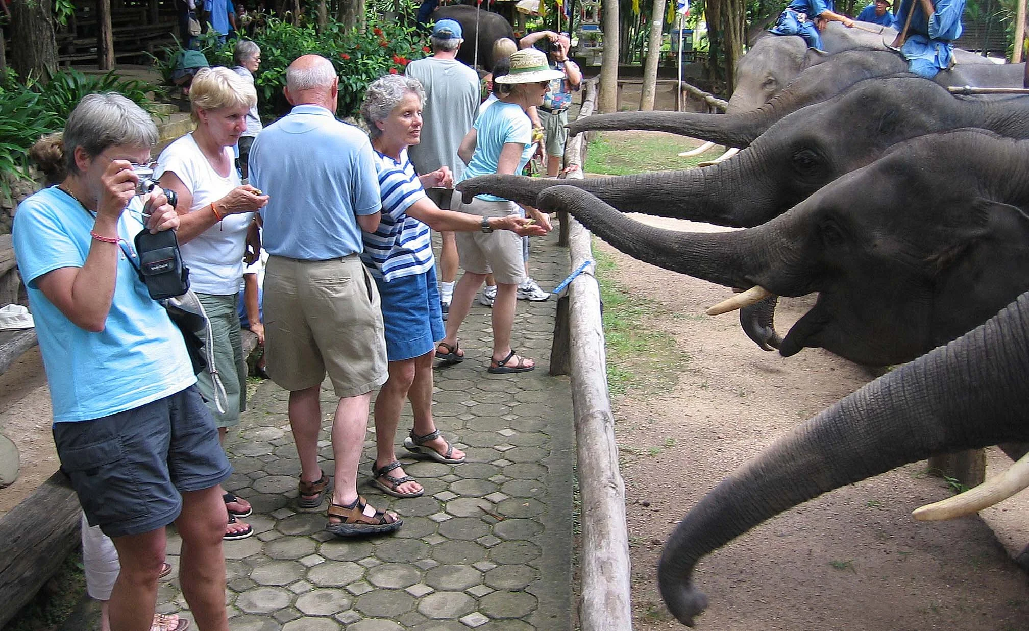2008 Lampang City & Elephant Center (150).jpg