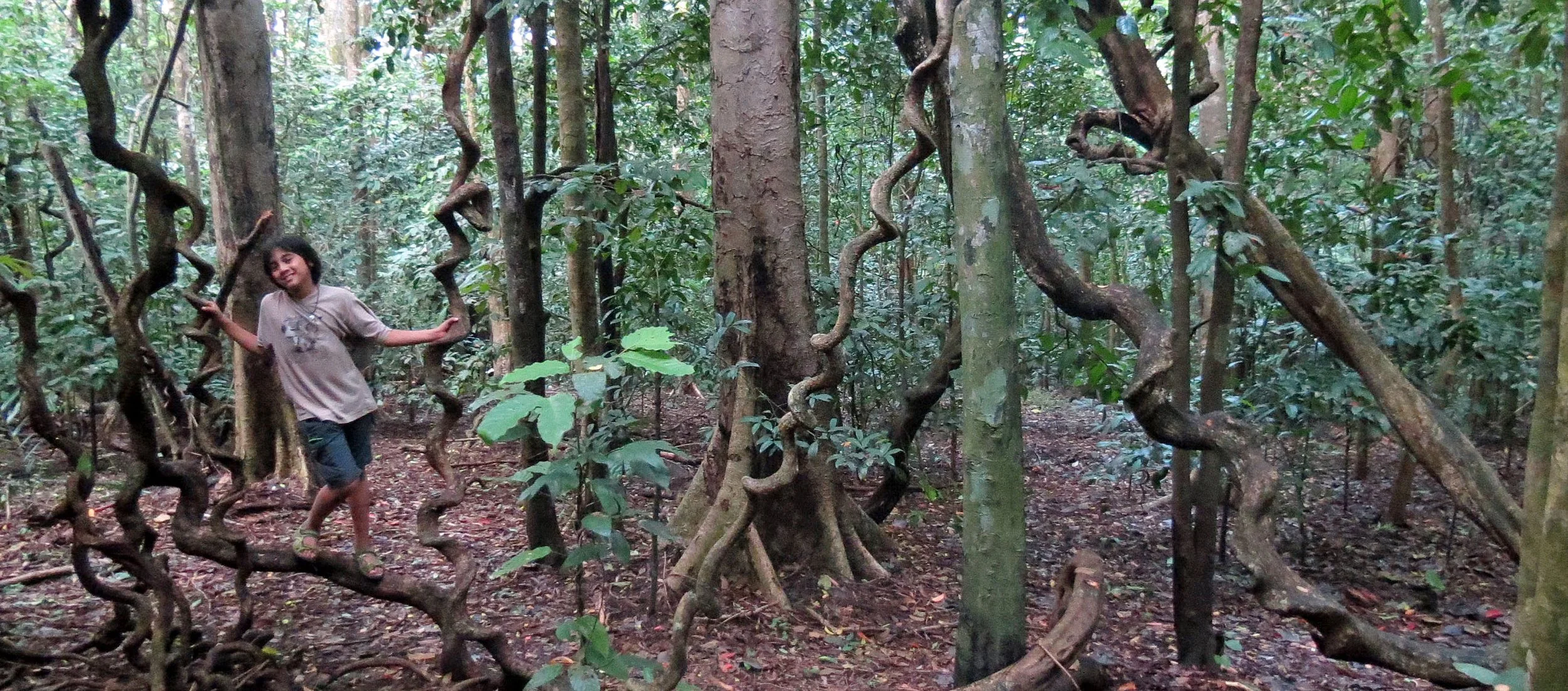 TANGKOKO NATIONAL PARK SULAWESI INDONESIA (96).JPG