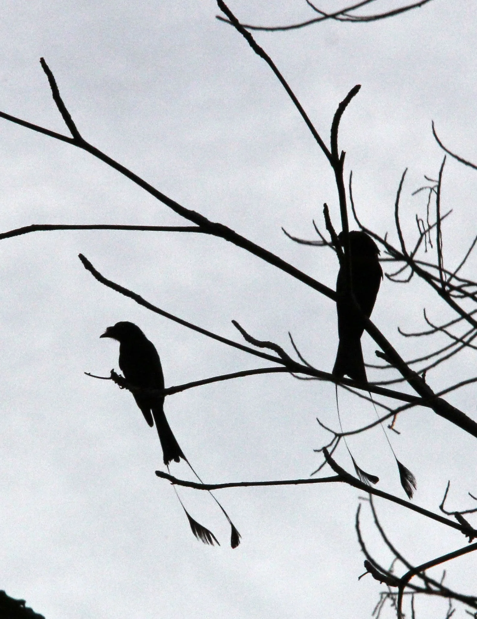 2016 Koh Lanta Landscapes, House Pictures and Family Fun (2).JPG