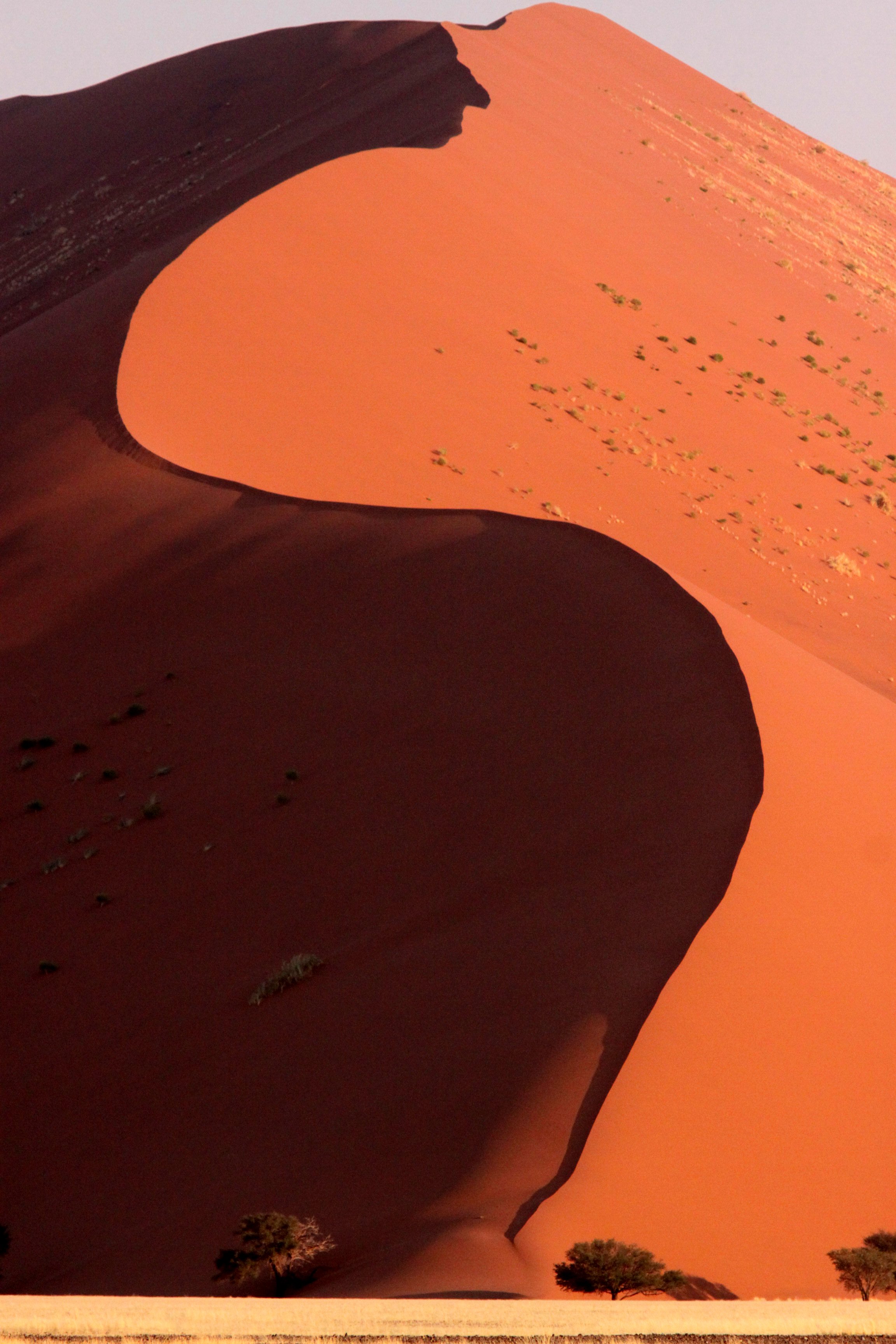 SOSSUSVLEI, NAMIB NAUKLUFT NATIONAL PARK, NAMIBIA (70).JPG