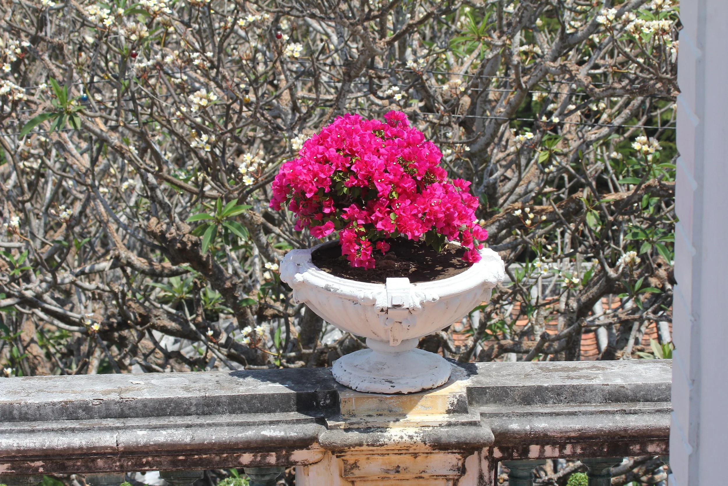 2020 Petchaburi Temple Trip with Cokie (77).JPG