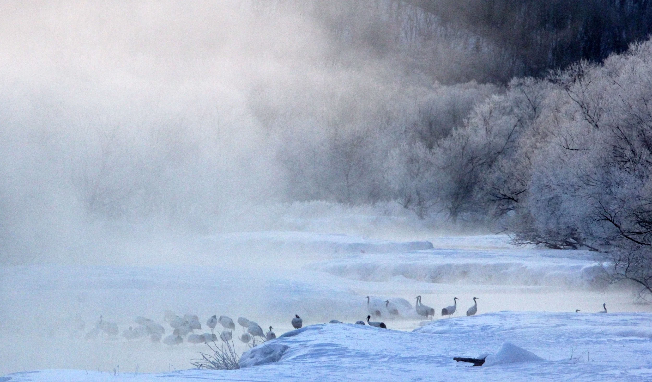 OTOWABASHI SETSUGAWA - TSURUI TOWN - HOKKAIDO JAPAN (32).JPG