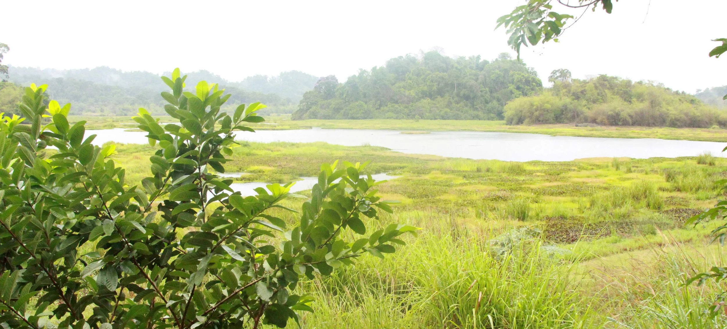 CAT TIEN NATIONAL PARK VIET NAM - CROCODILE LAKE (2).JPG
