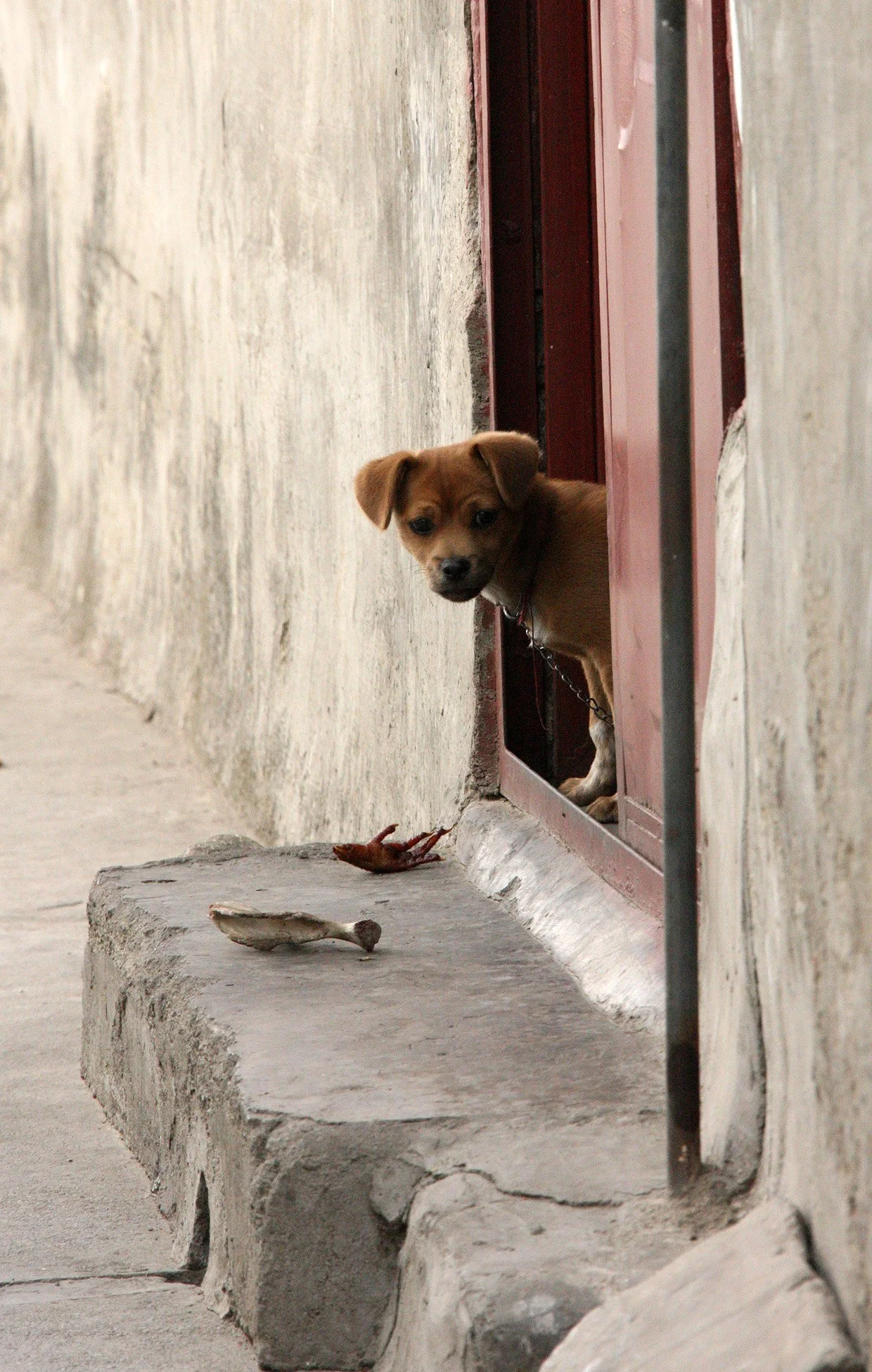 LINDEN CENTER - XIZHOU VILLAGE YUNNAN CHINA (190).JPG
