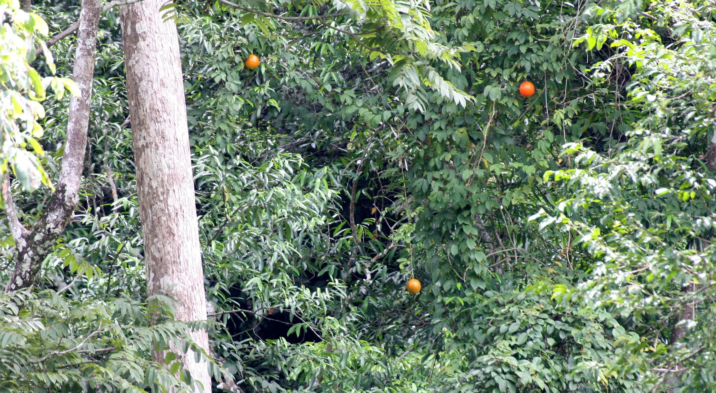 KOH LANTA - 2008 - ON THE WAY (8).JPG