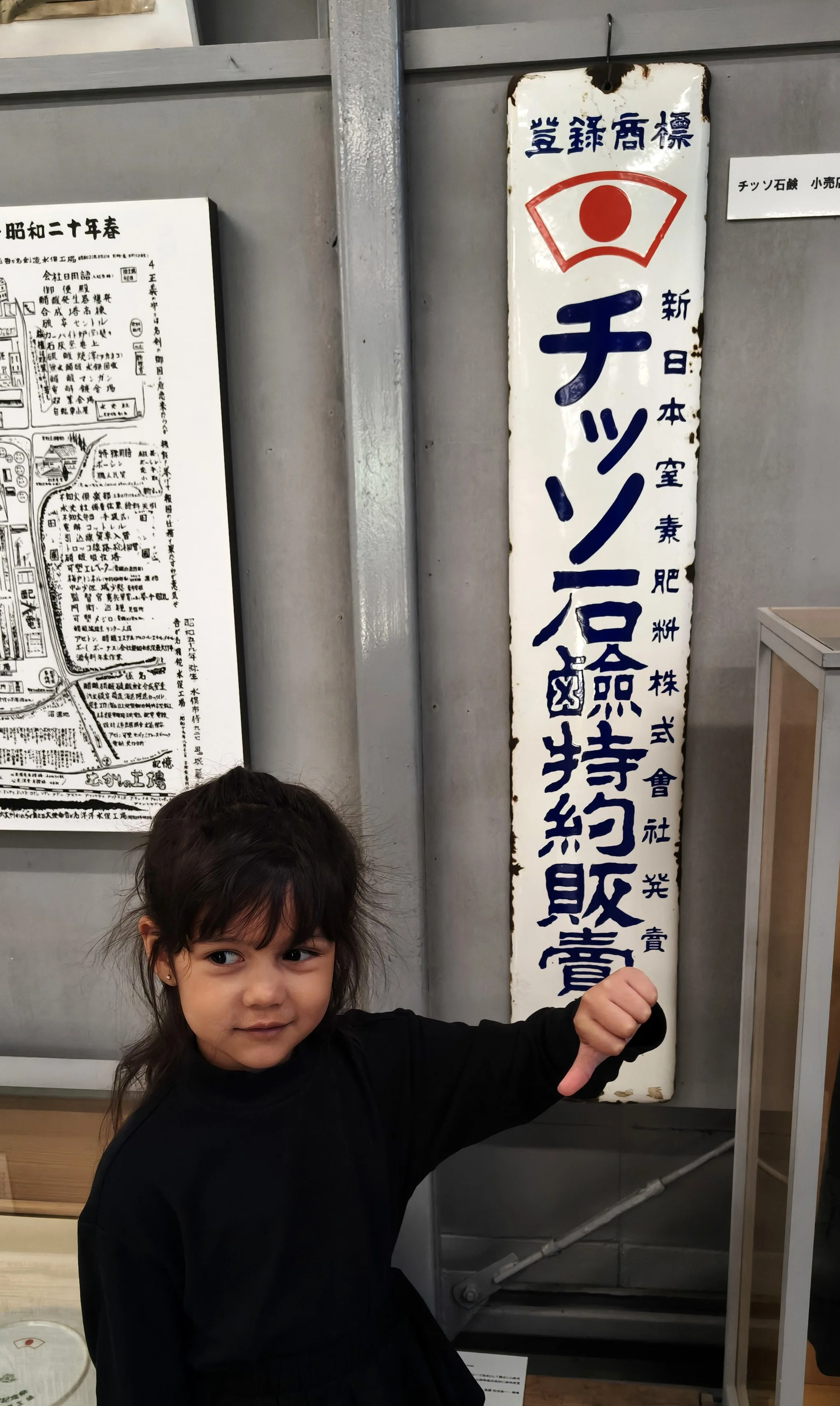 Minamata Disease Museum Kagoshima Japan (3).jpg