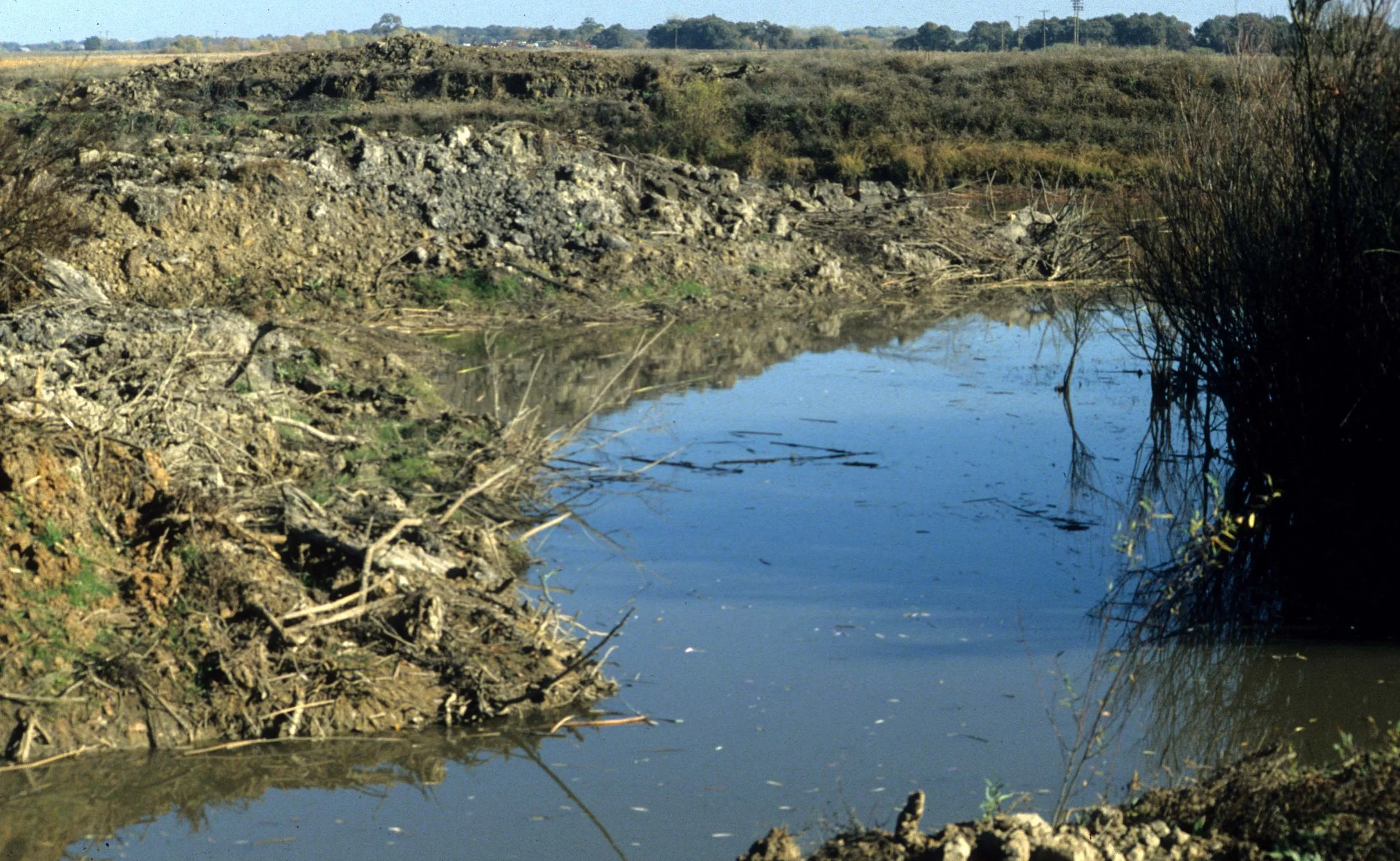 CALIFORNIA - COSUMNES RIVER PRESERVE B.jpg