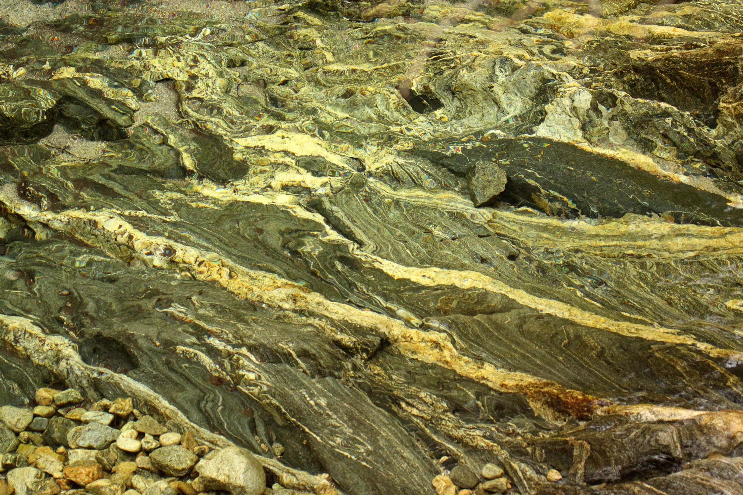 FOPING NATURE RESERVE - SHAANXI PROVINCE CHINA (106).JPG