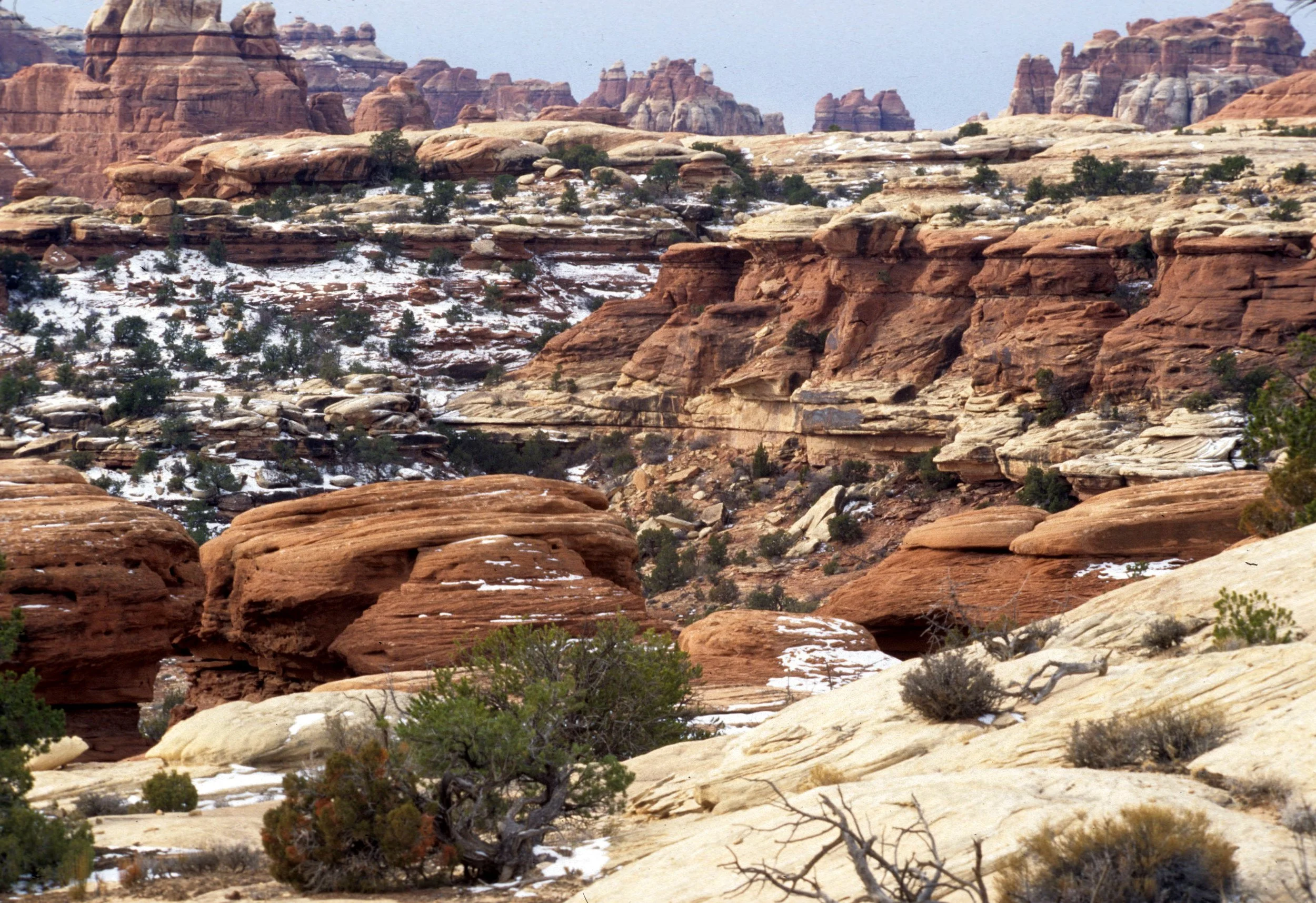 UTAH - CANYONLANDS NP A.jpg