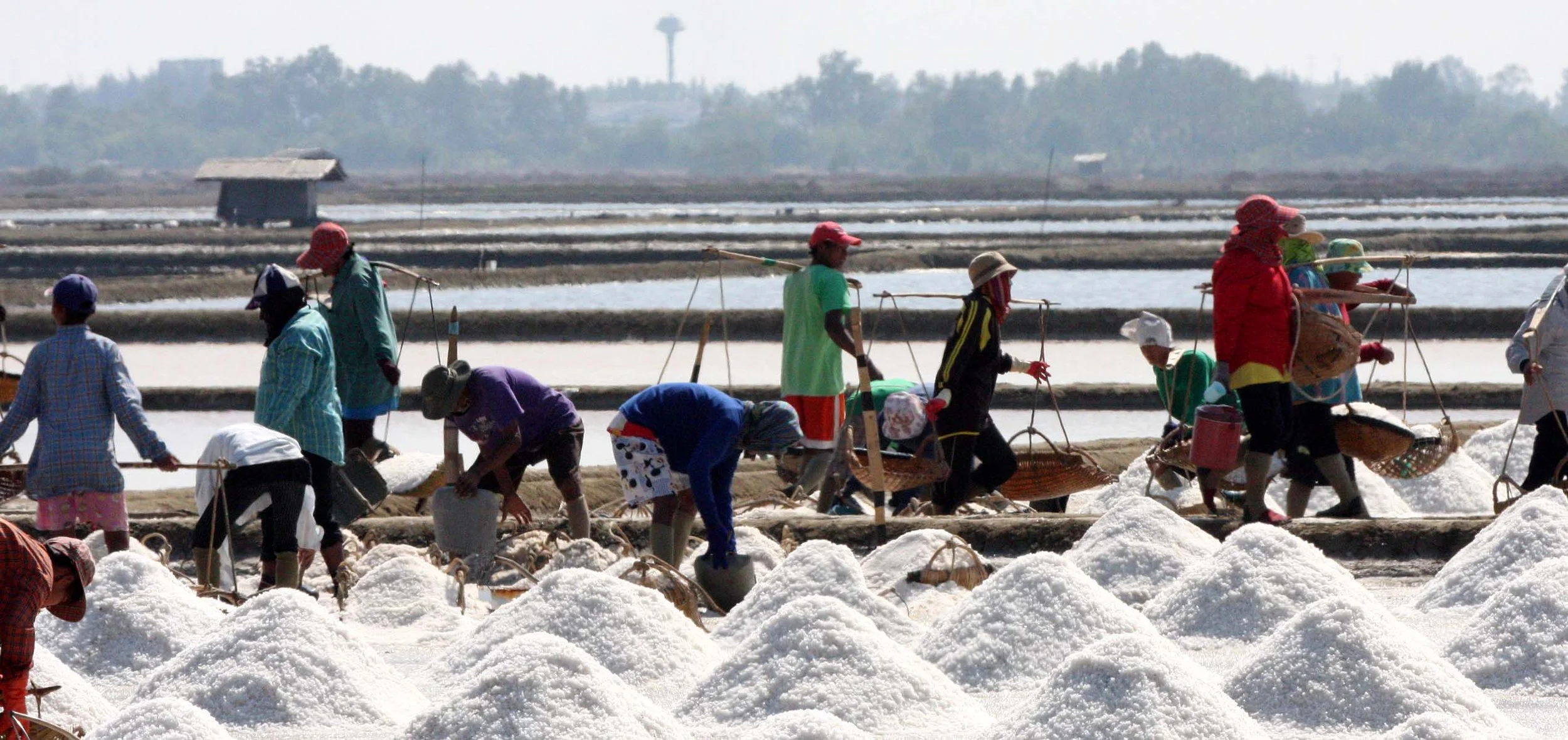 2009 Samut Songkran Salt & Shrimp in Ponds (1).JPG