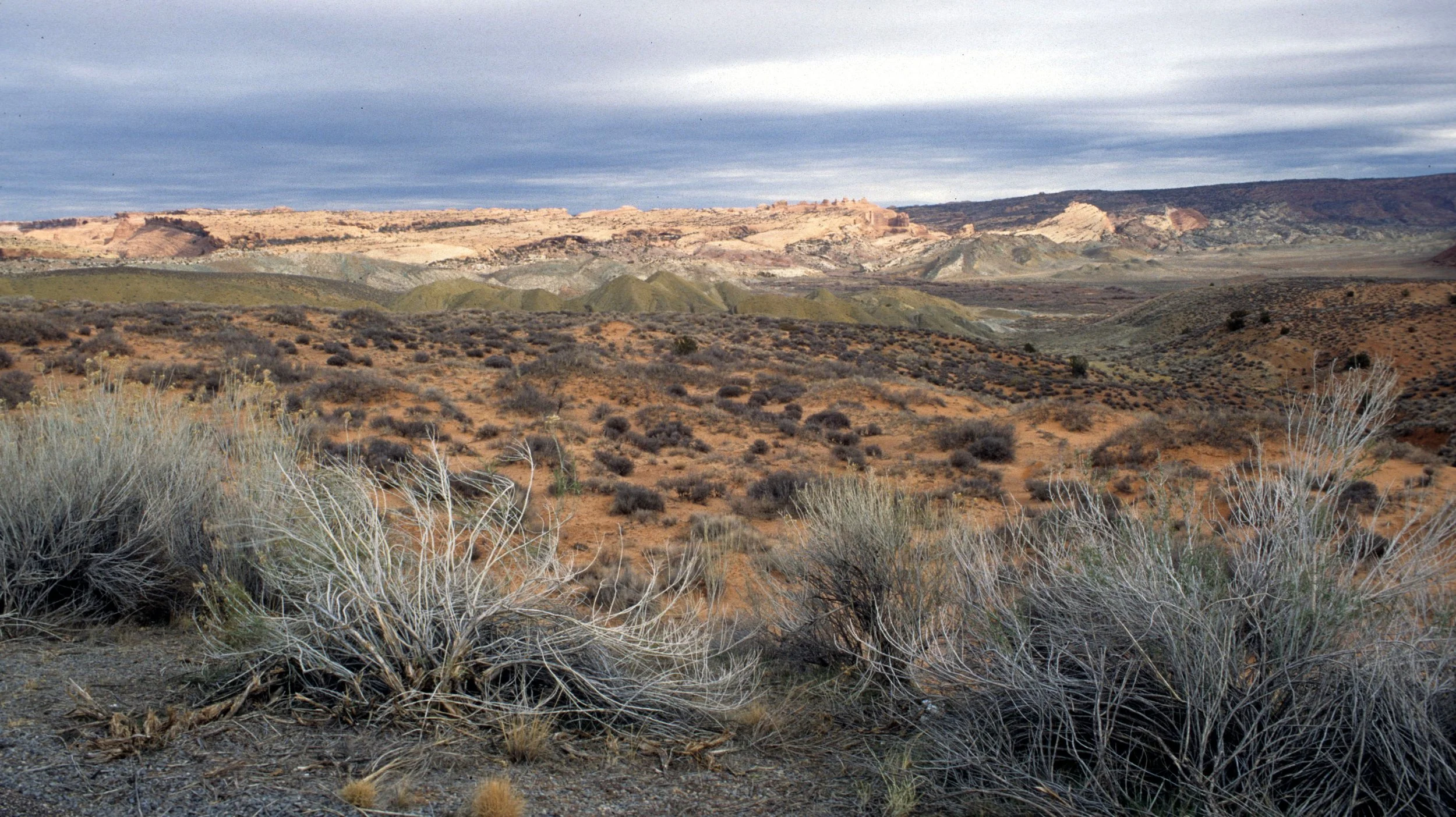 UTAH - NATURAL BRIDGES NM C.jpg