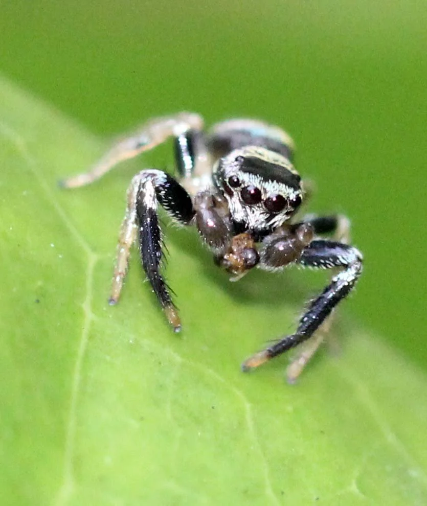 2013 in Nakhonsithammarat and some Krabi with Family (88).JPG