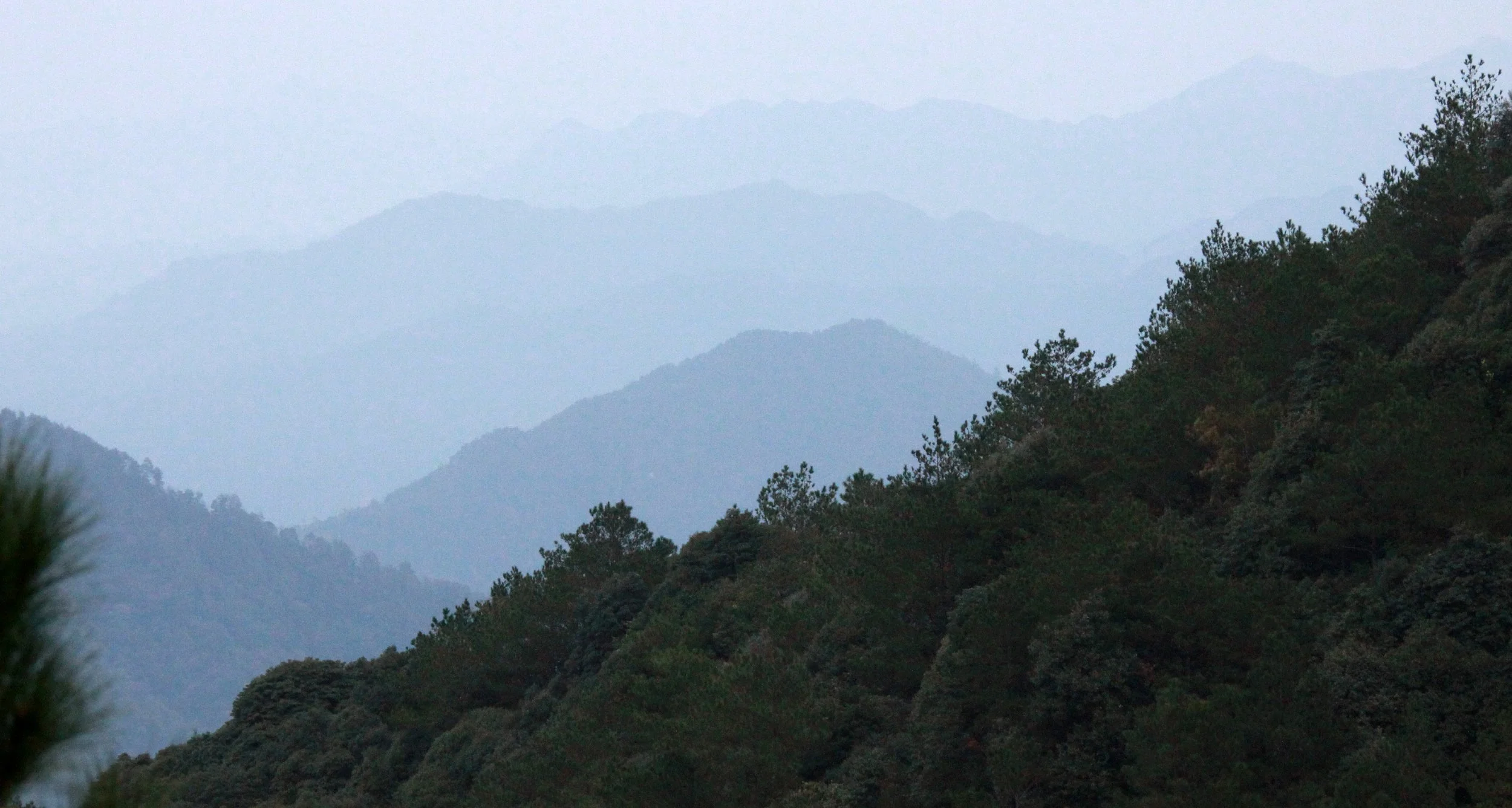 MEIHUASHAN - FUJIAN CHINA (34).JPG