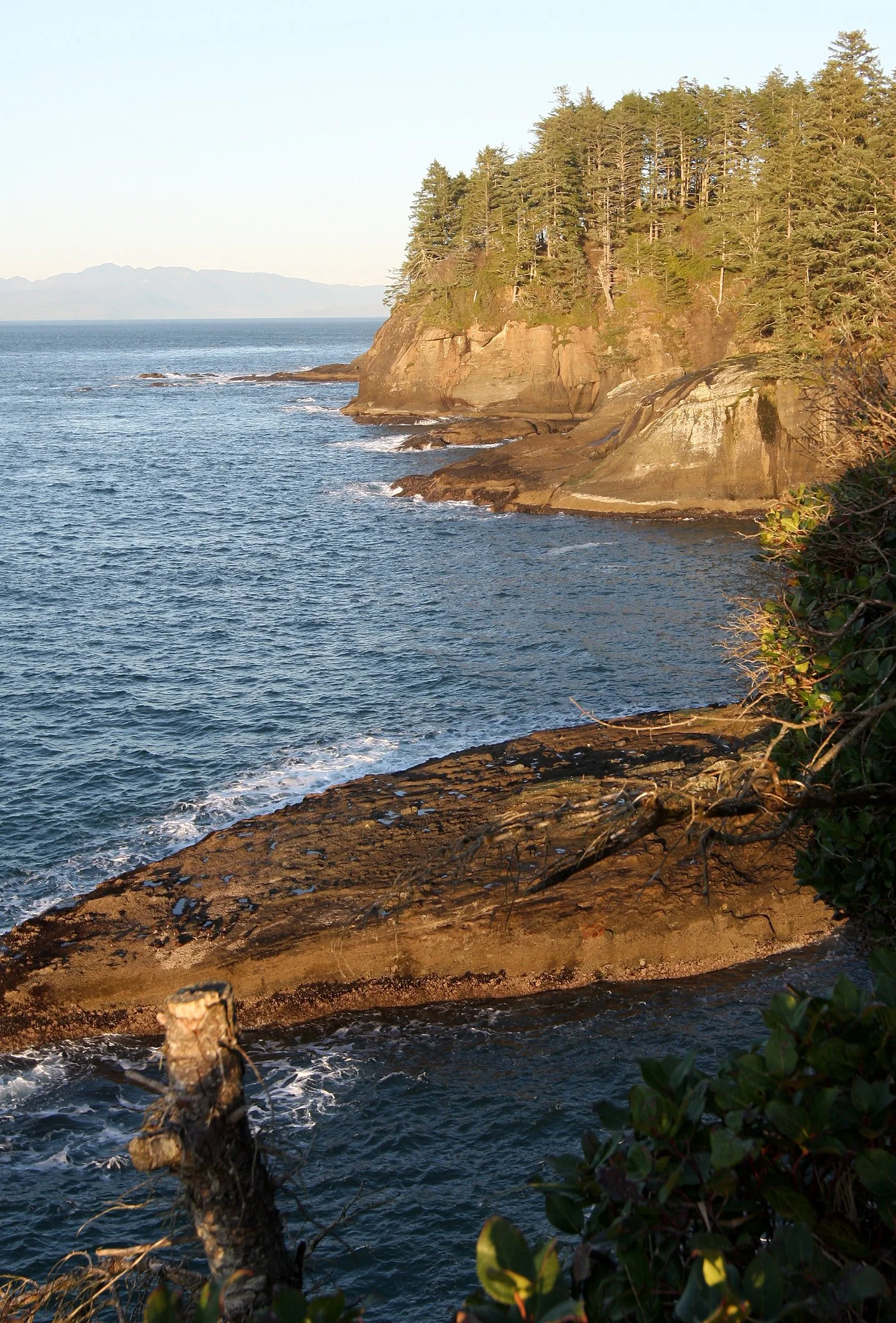 CAPE FLATTERY OLYMPIC PENINSULA - 2010-2-20 (13).JPG