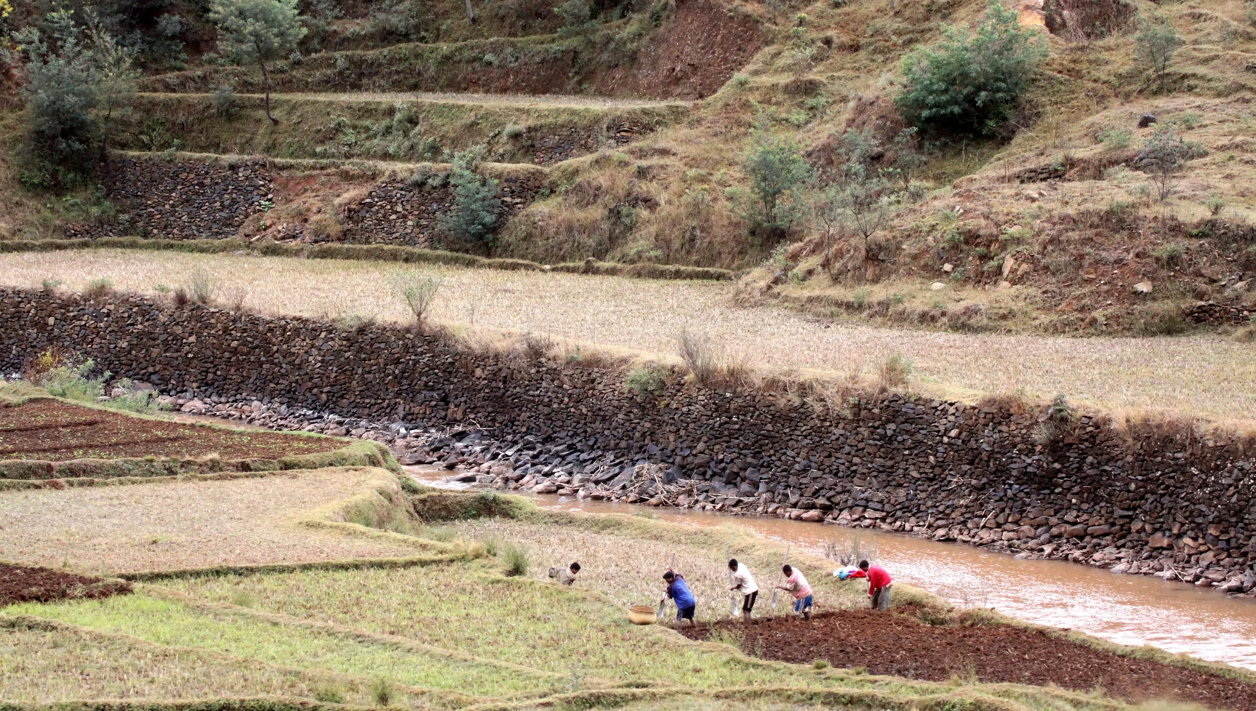 CENTRAL HIGHLANDS - ROAD TO RANOMAFANA (23).JPG