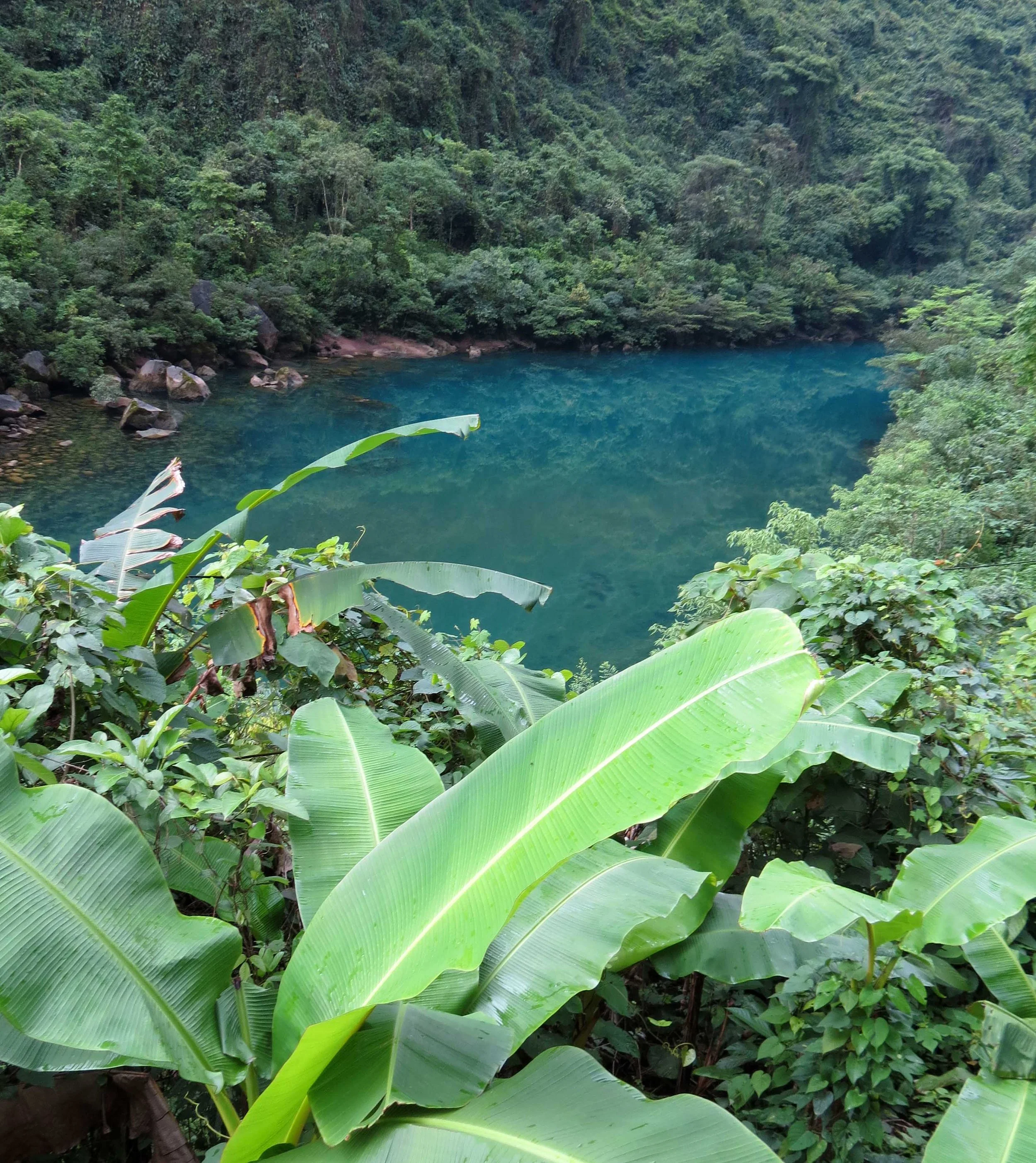 PHONG NHA- KE BANG NATIONAL PARK VIET NAM - QUANG BINH PROVINCE (19).JPG
