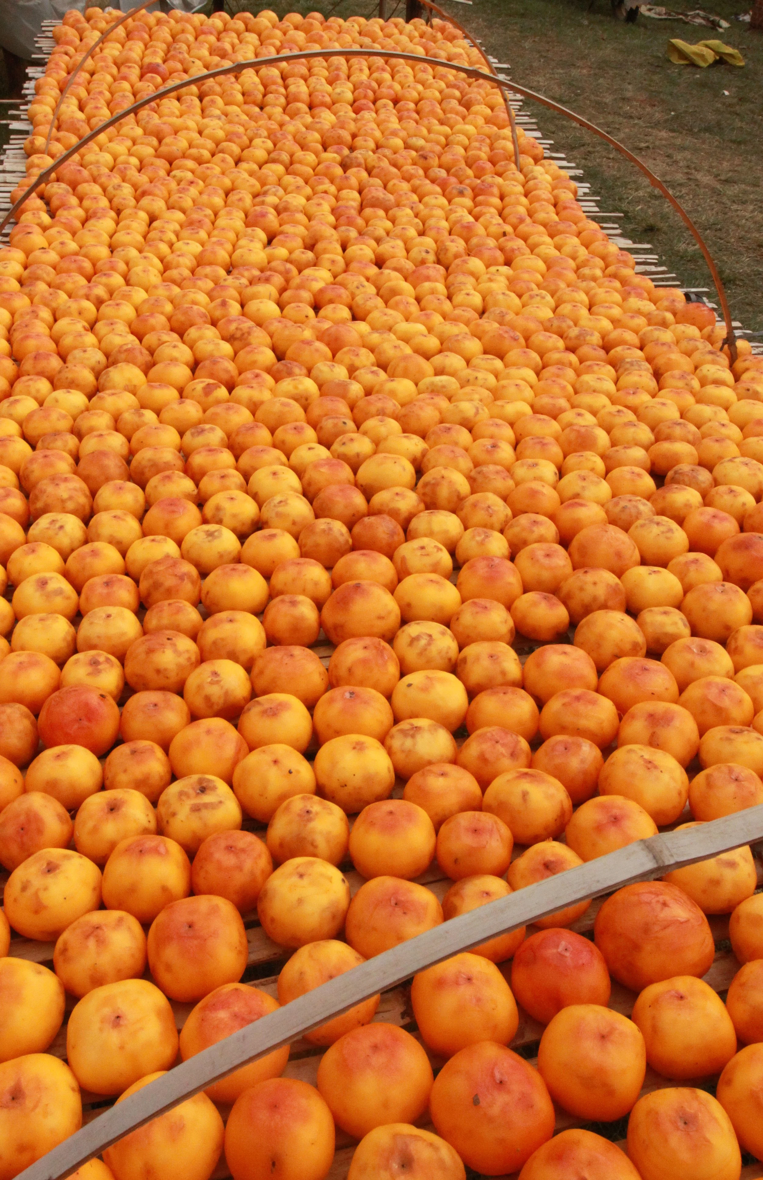 CHENGQILOU HAKKA VILLAGE - FUJIAN CHINA (106).JPG